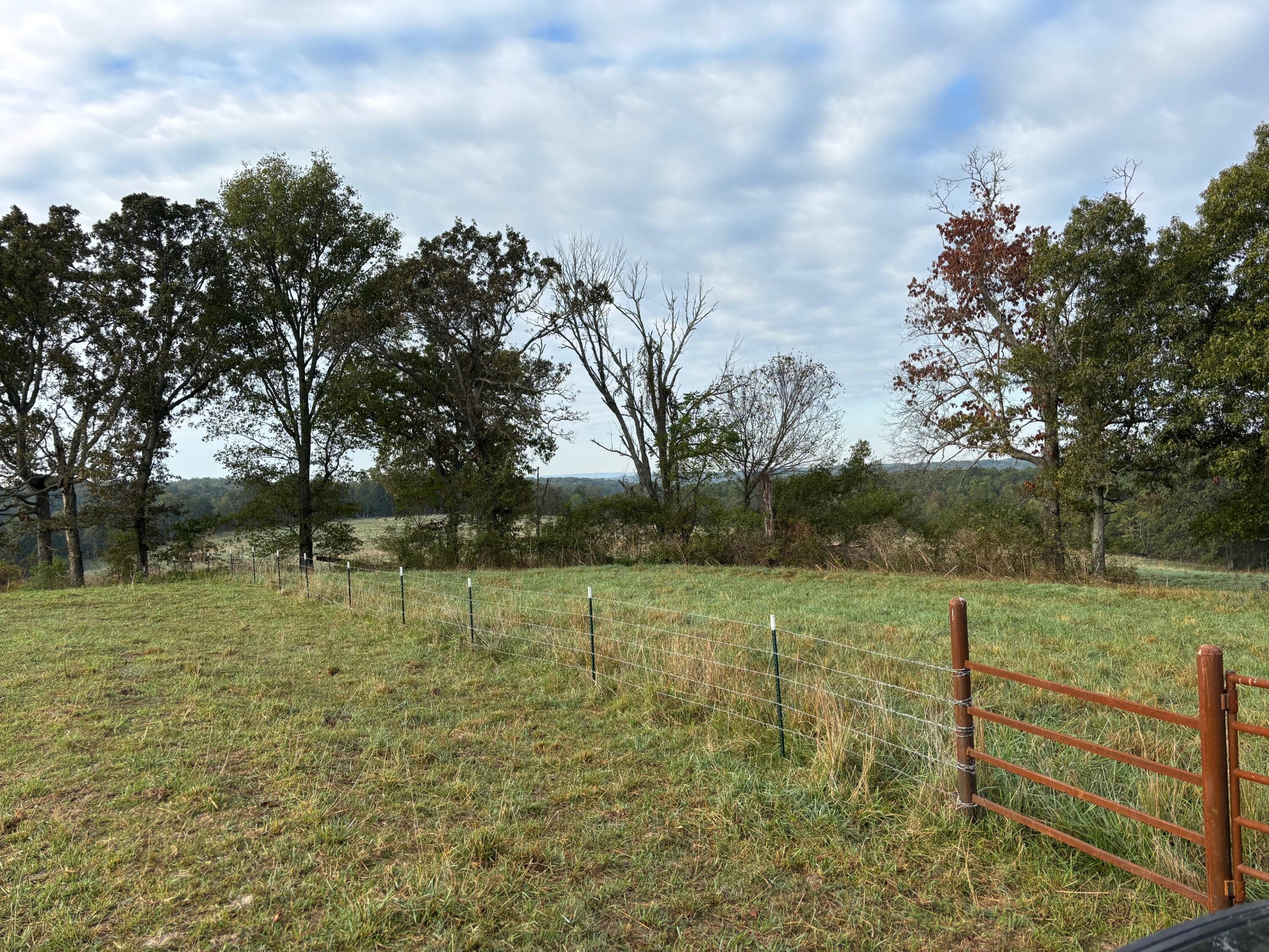 Photo 22 - Land for sale – Tbd  County Road 14-252   Drury, MO