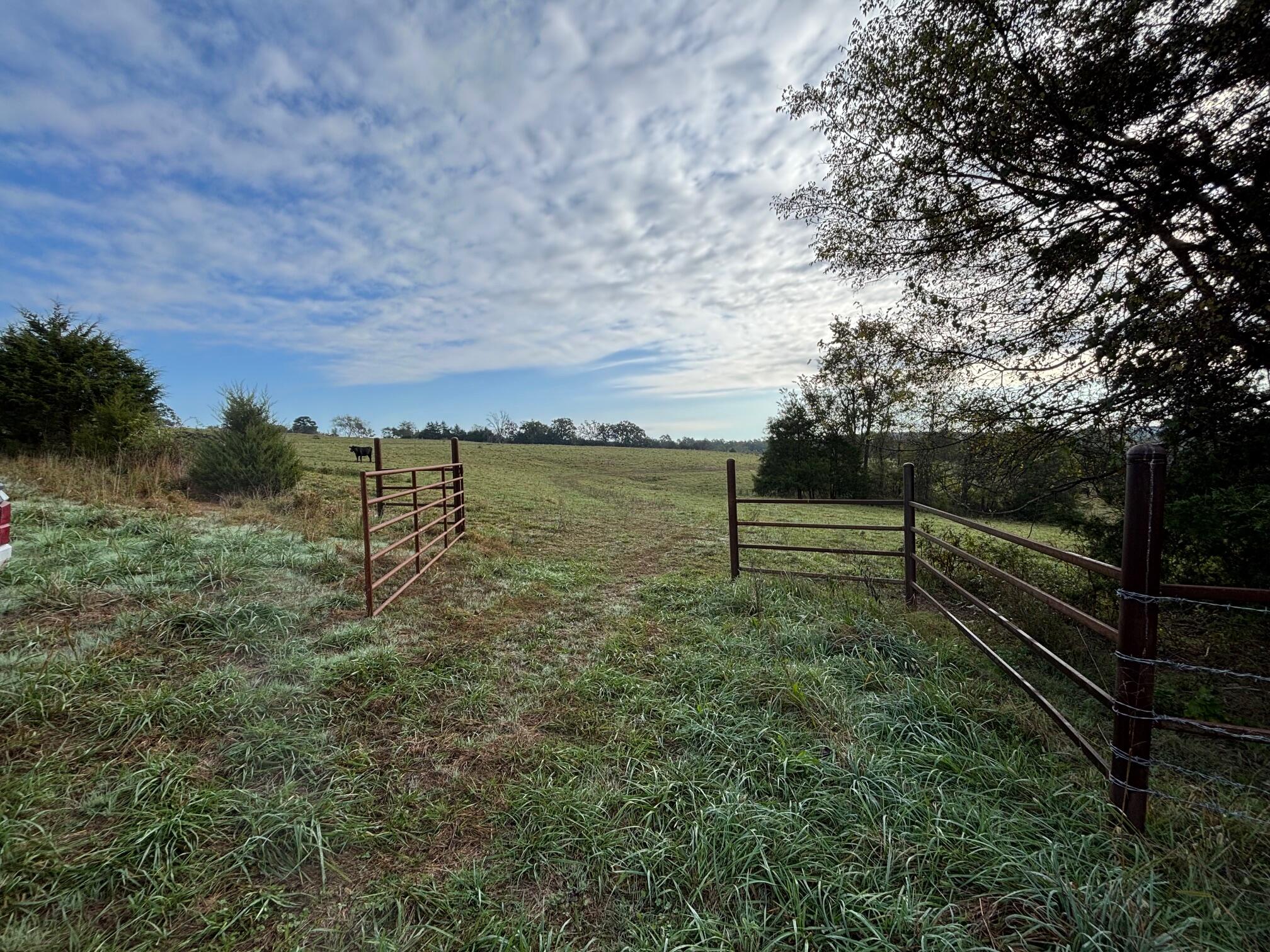 Photo 27 - Land for sale – Tbd  County Road 14-252   Drury, MO