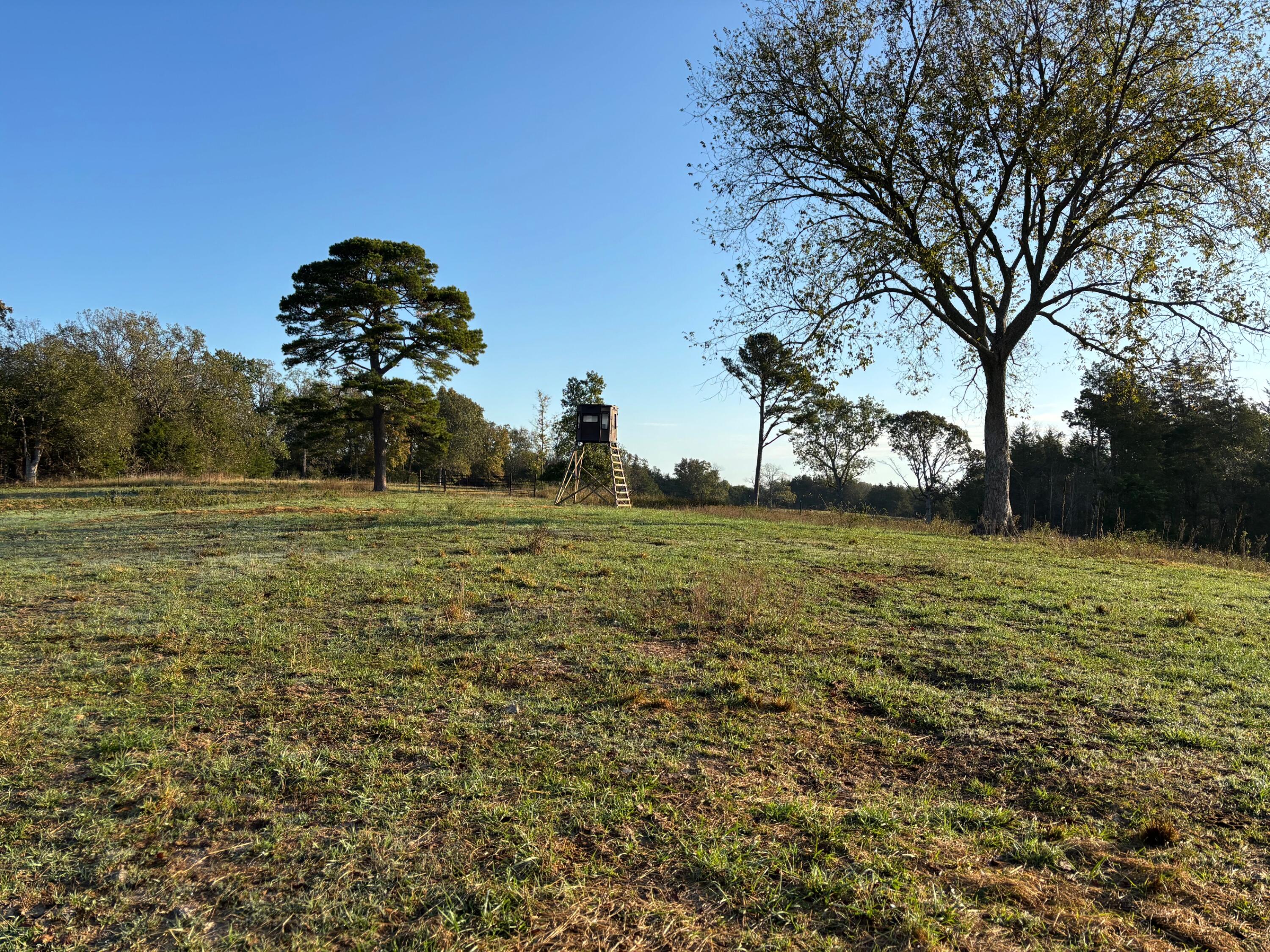 Photo 7 - Land for sale – Tbd  County Road 14-252   Drury, MO