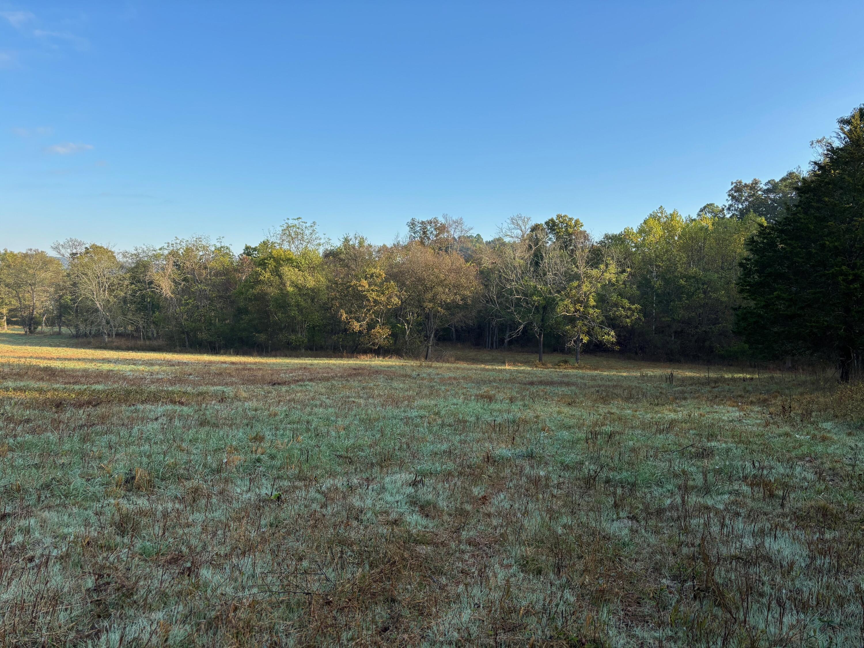 Photo 18 - Land for sale – Tbd  County Road 14-252   Drury, MO
