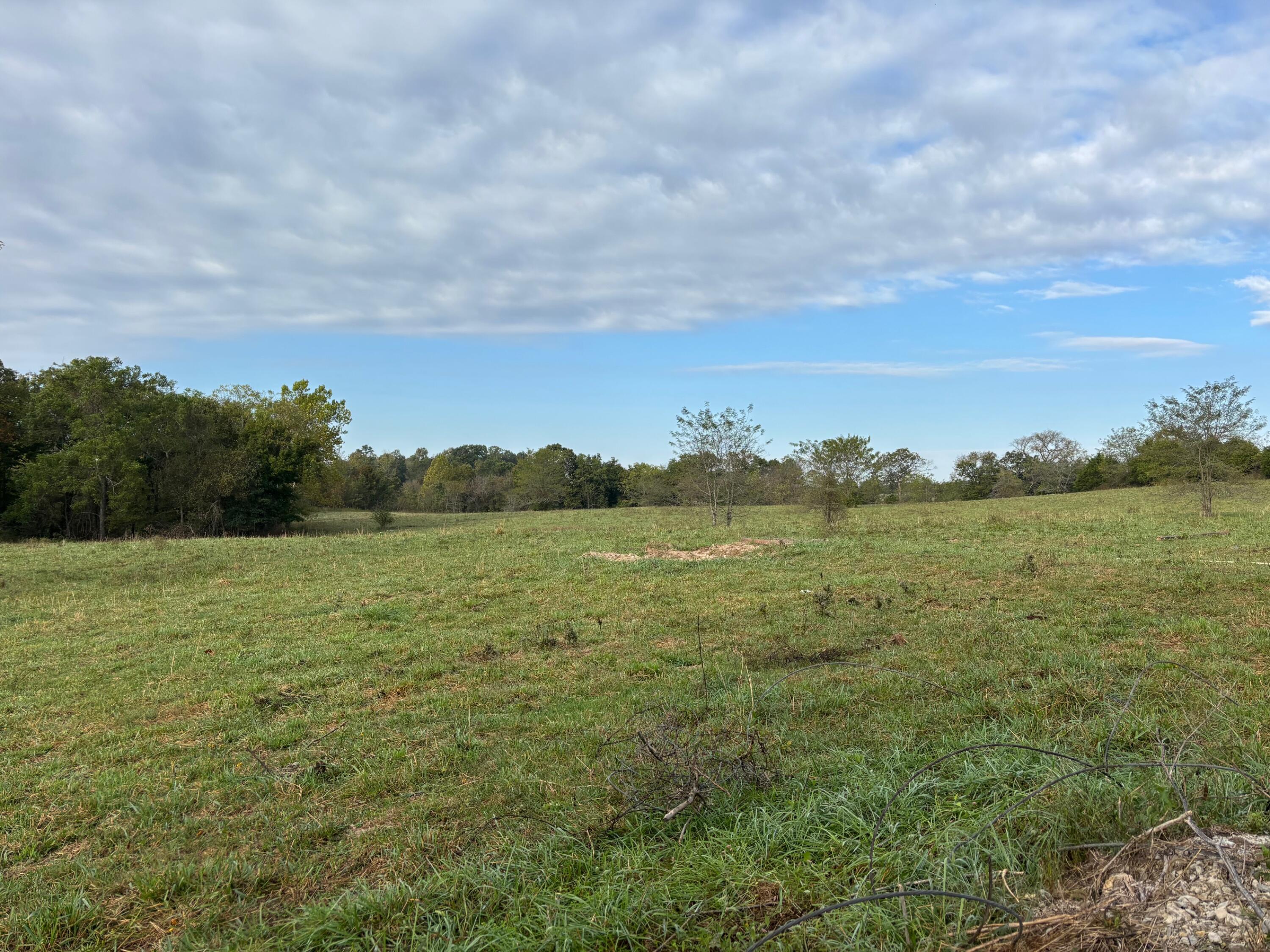 Photo 29 - Land for sale – Tbd  County Road 14-252   Drury, MO