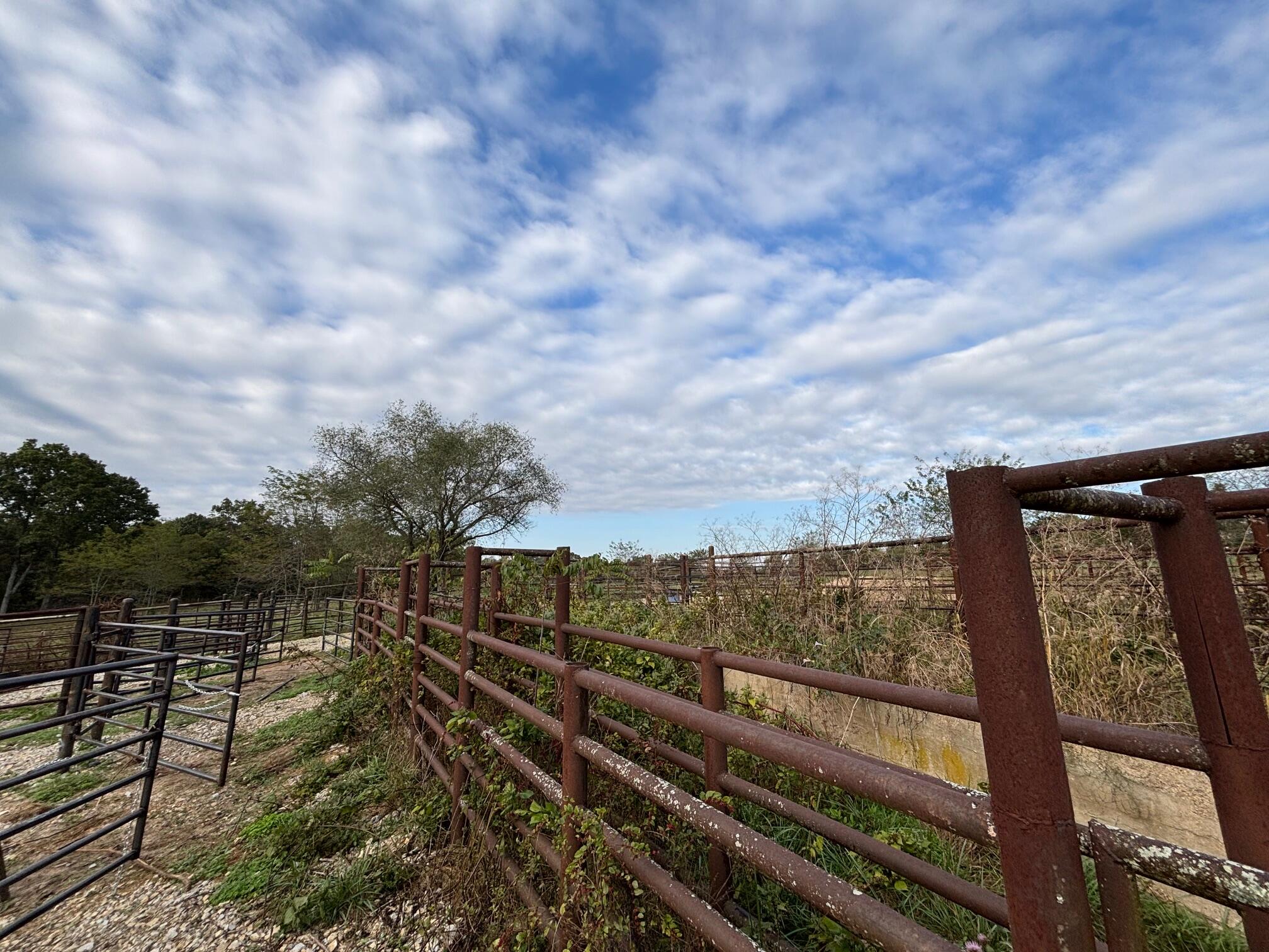 Photo 34 - Land for sale – Tbd  County Road 14-252   Drury, MO