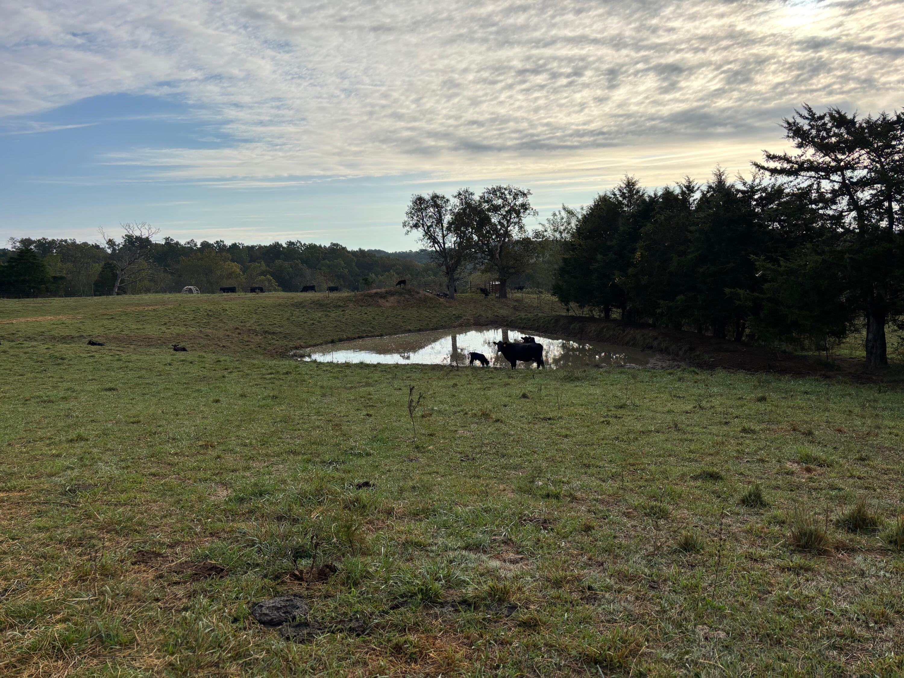 Photo 23 - Land for sale – Tbd  County Road 14-252   Drury, MO
