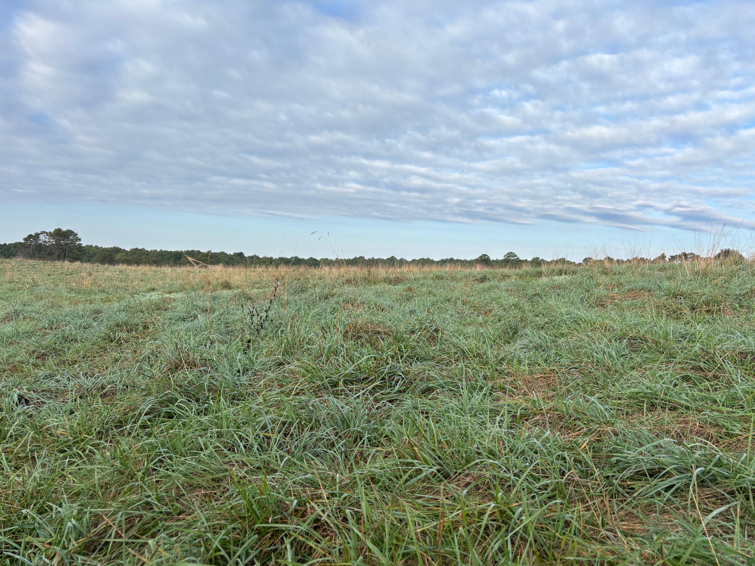 Photo 24 - Land for sale – Tbd  County Road 14-252   Drury, MO