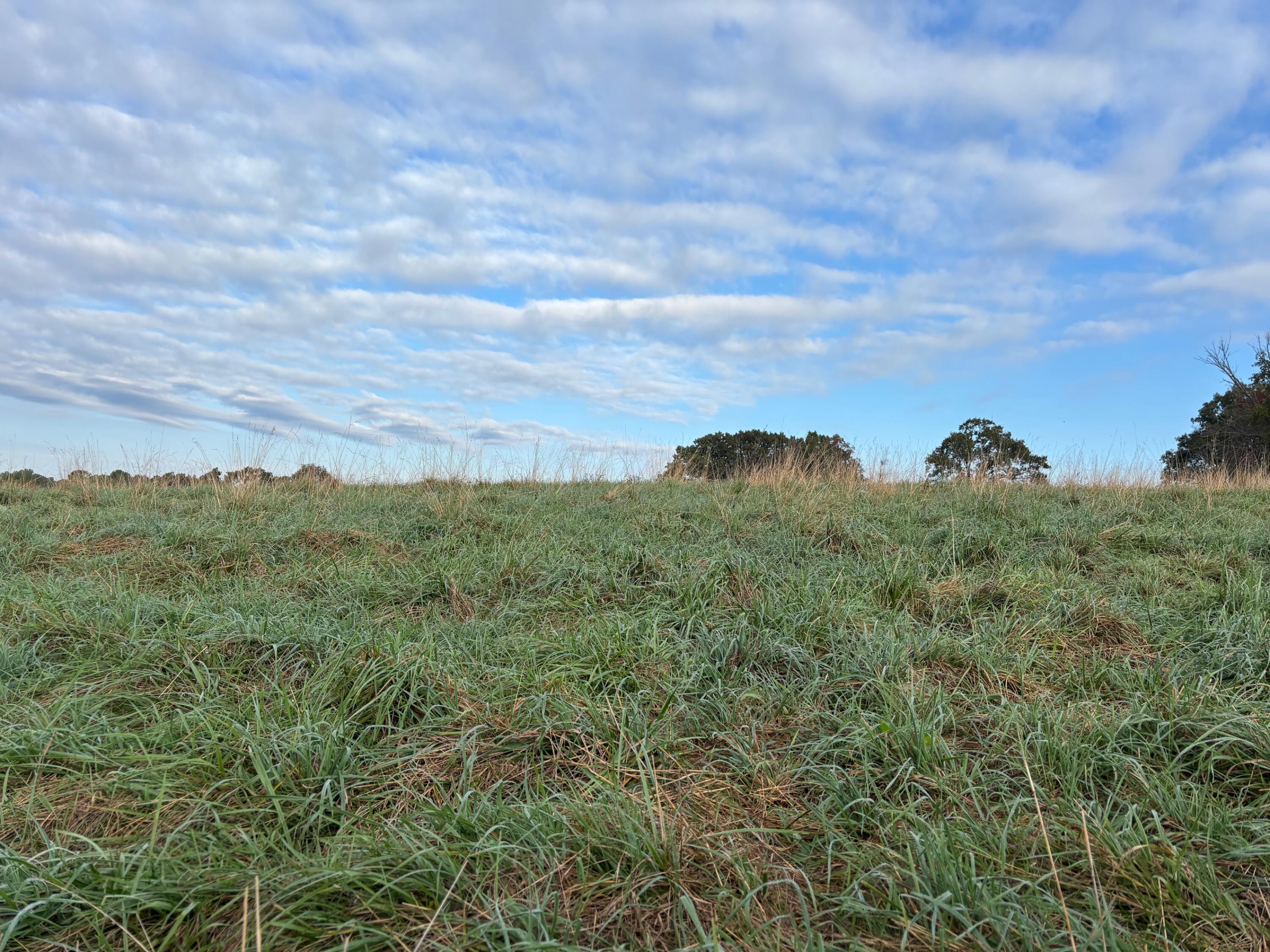 Photo 25 - Land for sale – Tbd  County Road 14-252   Drury, MO