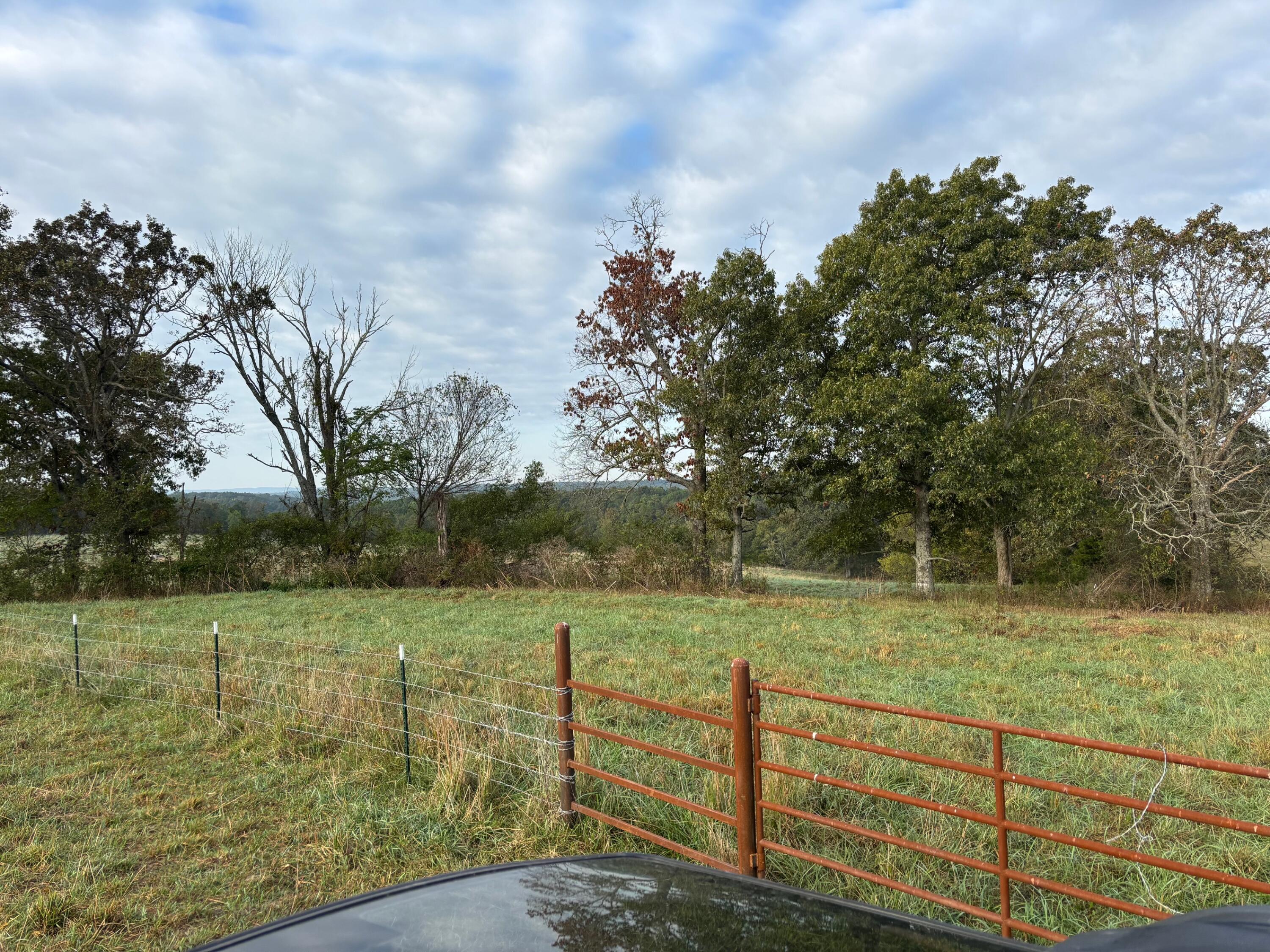 Photo 21 - Land for sale – Tbd  County Road 14-252   Drury, MO