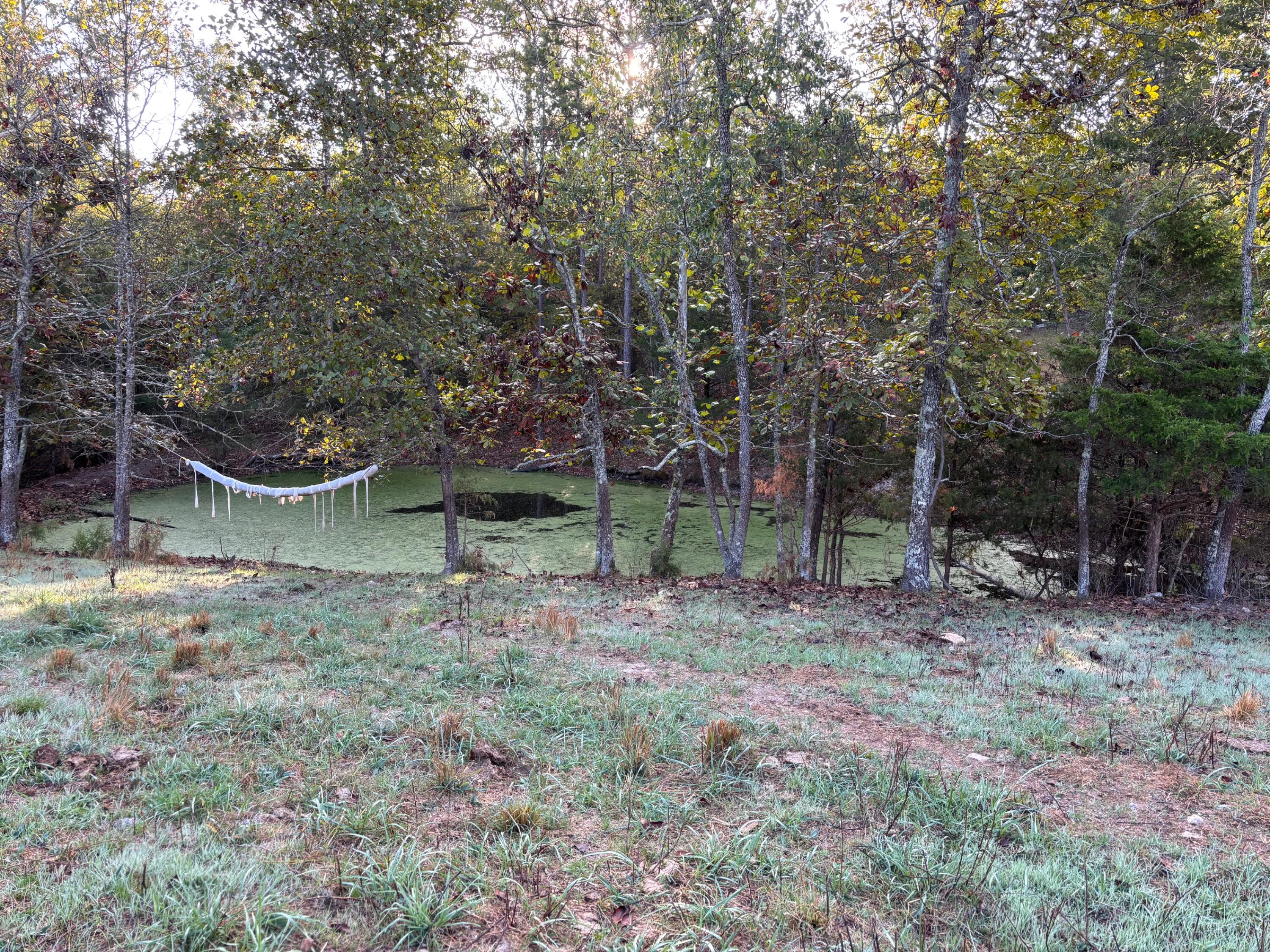 Photo 17 - Land for sale – Tbd  County Road 14-252   Drury, MO