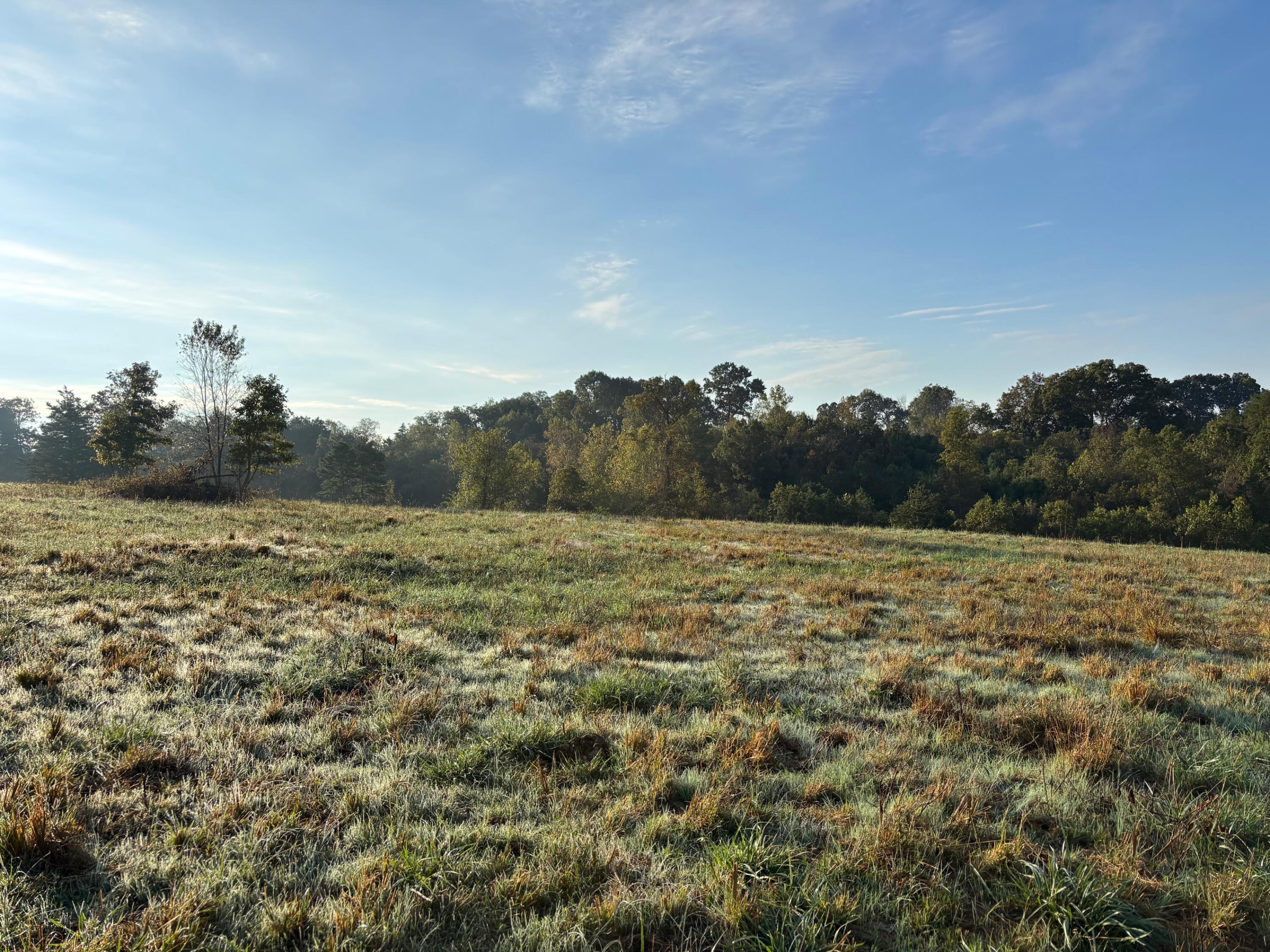 Photo 12 - Land for sale – Tbd  County Road 14-252   Drury, MO