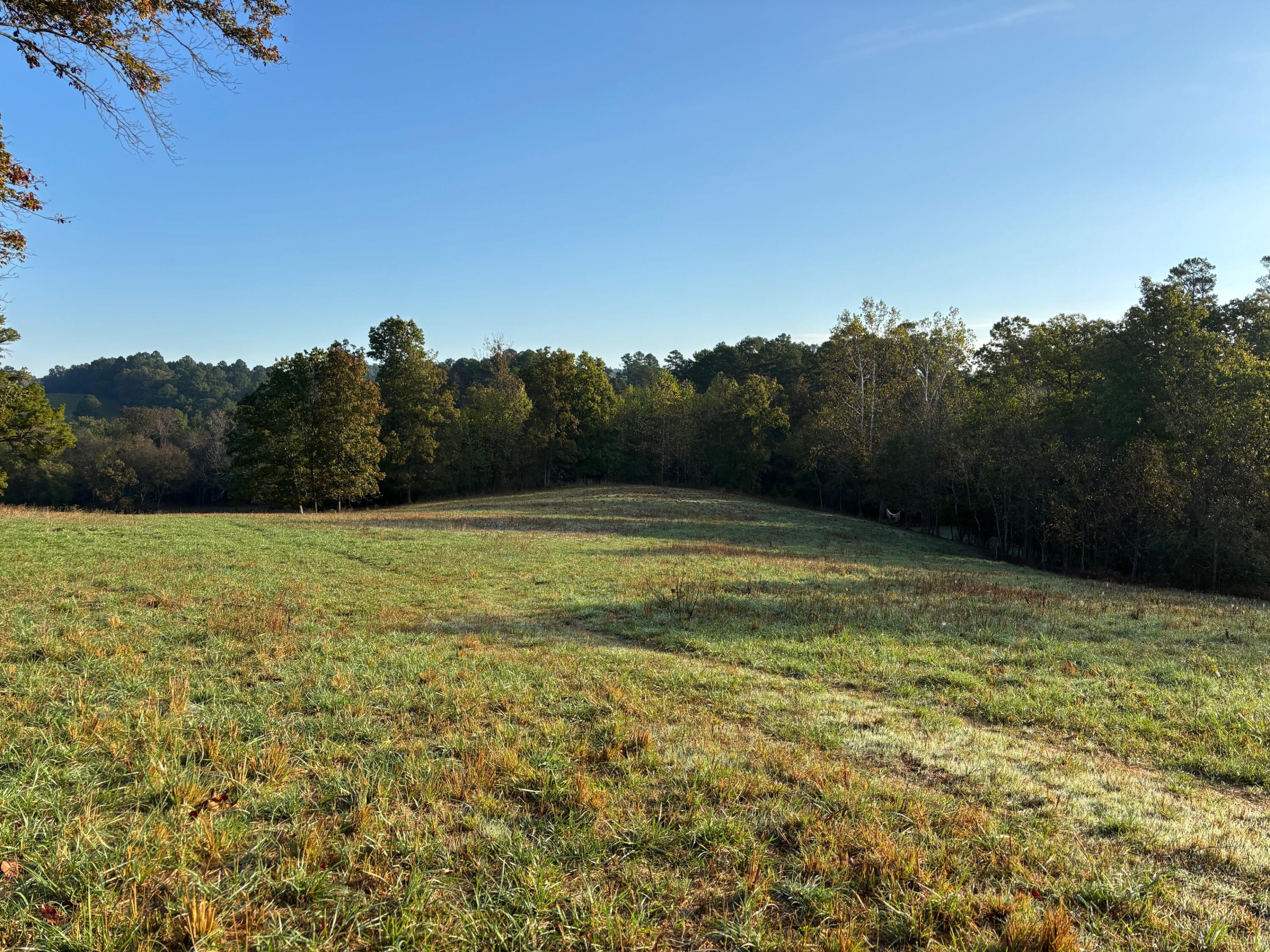 Photo 16 - Land for sale – Tbd  County Road 14-252   Drury, MO