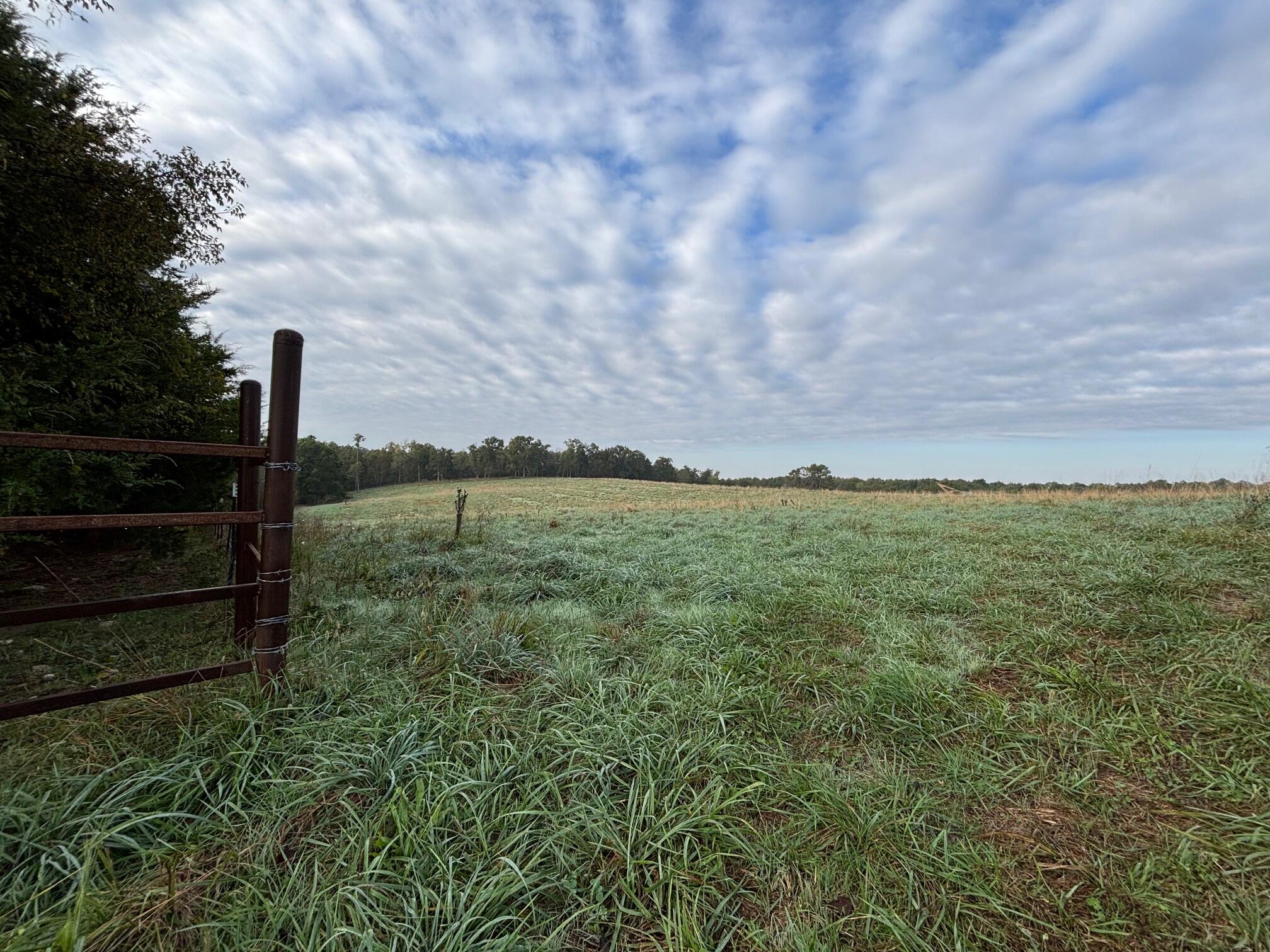 Photo 28 - Land for sale – Tbd  County Road 14-252   Drury, MO