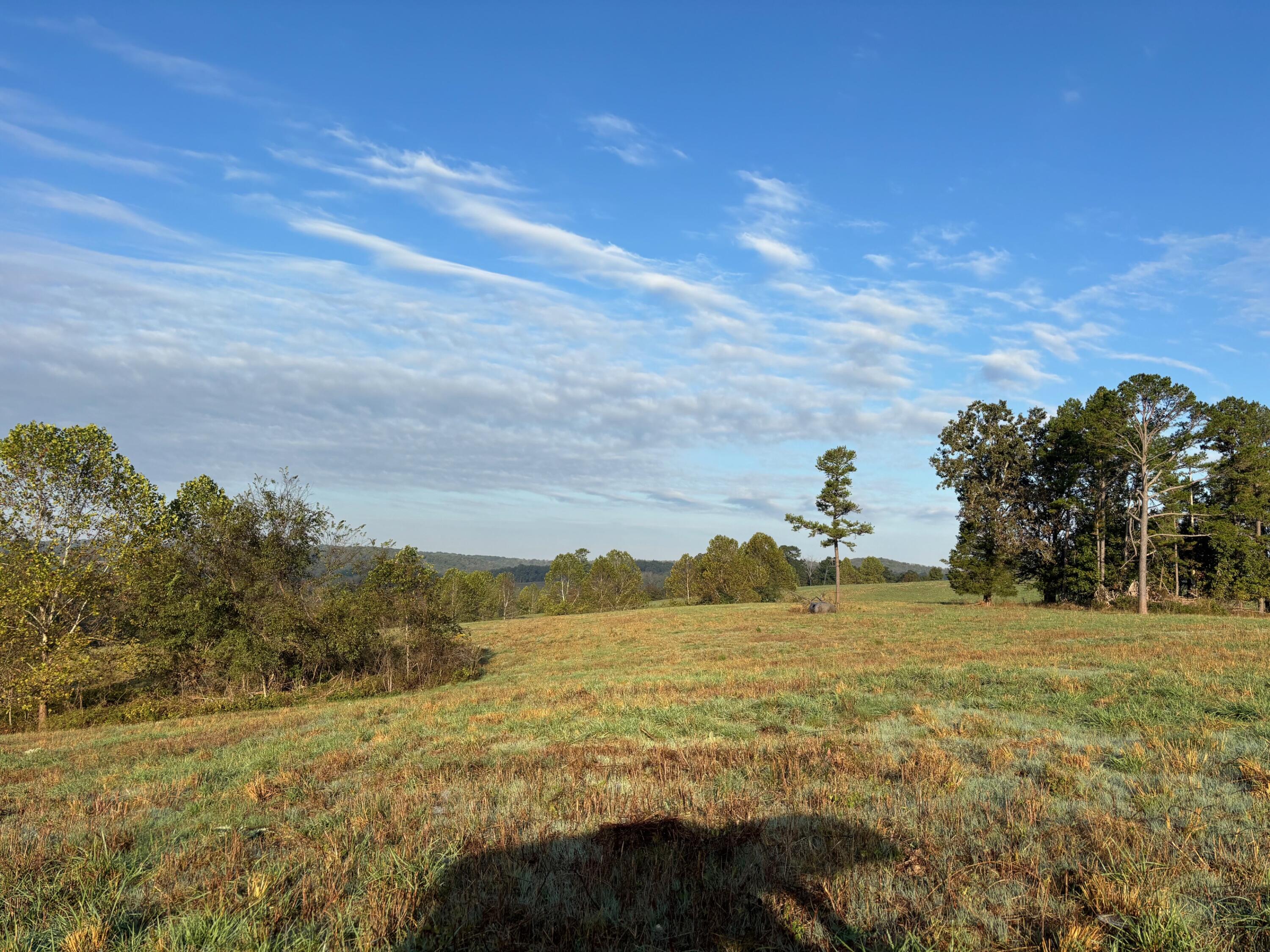 Photo 9 - Land for sale – Tbd  County Road 14-252   Drury, MO