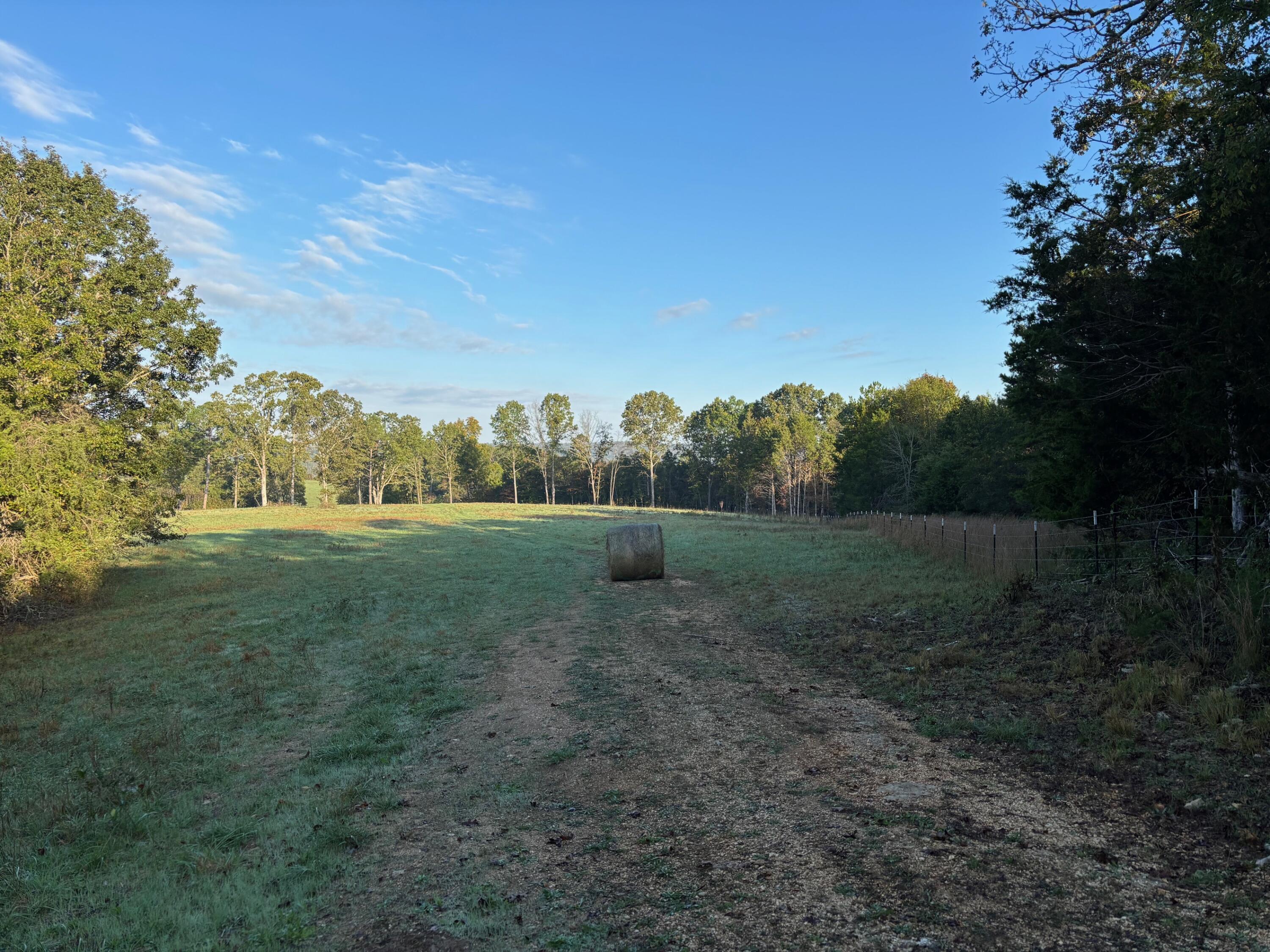 Photo 8 - Land for sale – Tbd  County Road 14-252   Drury, MO