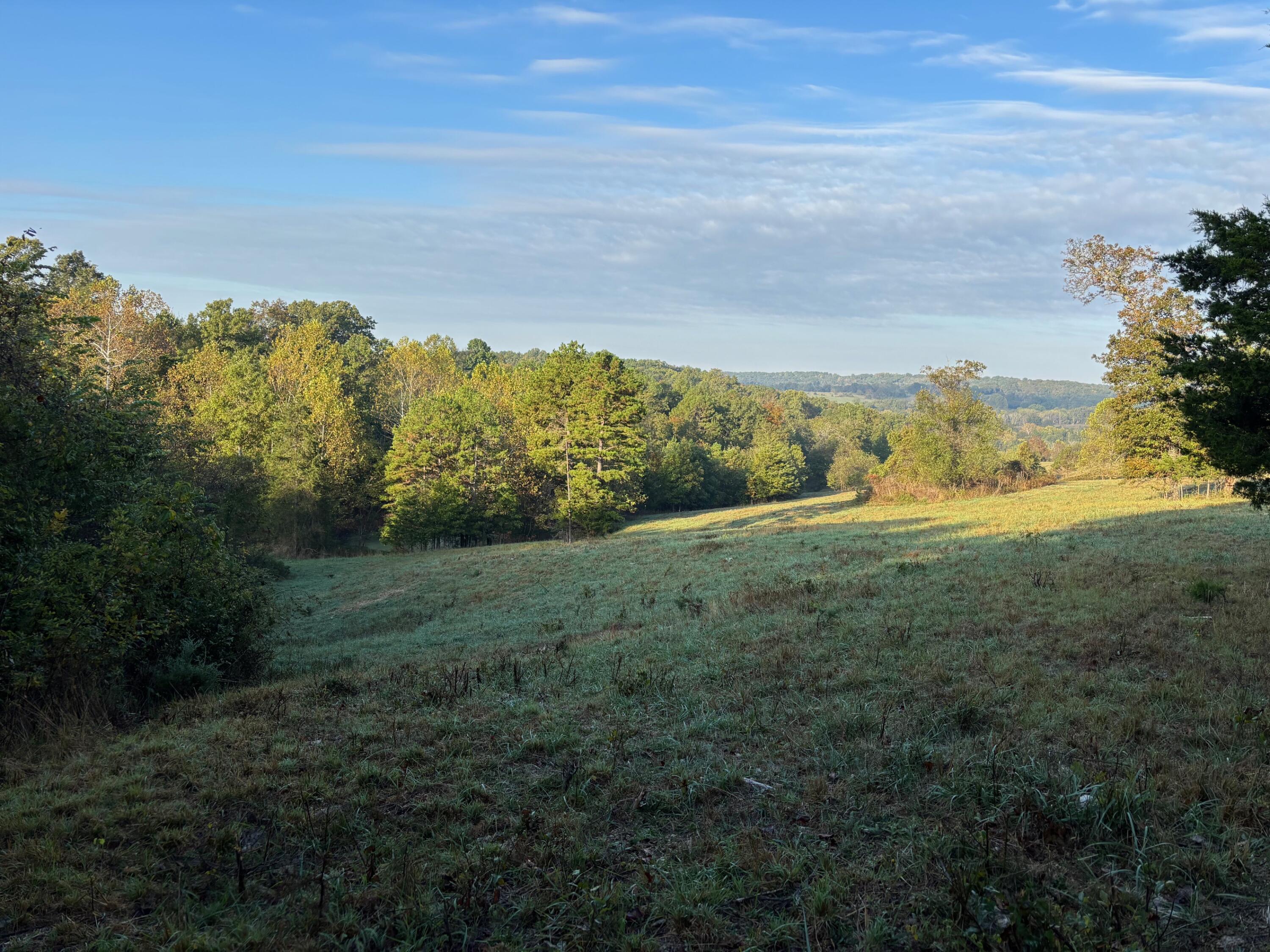 Photo 6 - Land for sale – Tbd  County Road 14-252   Drury, MO