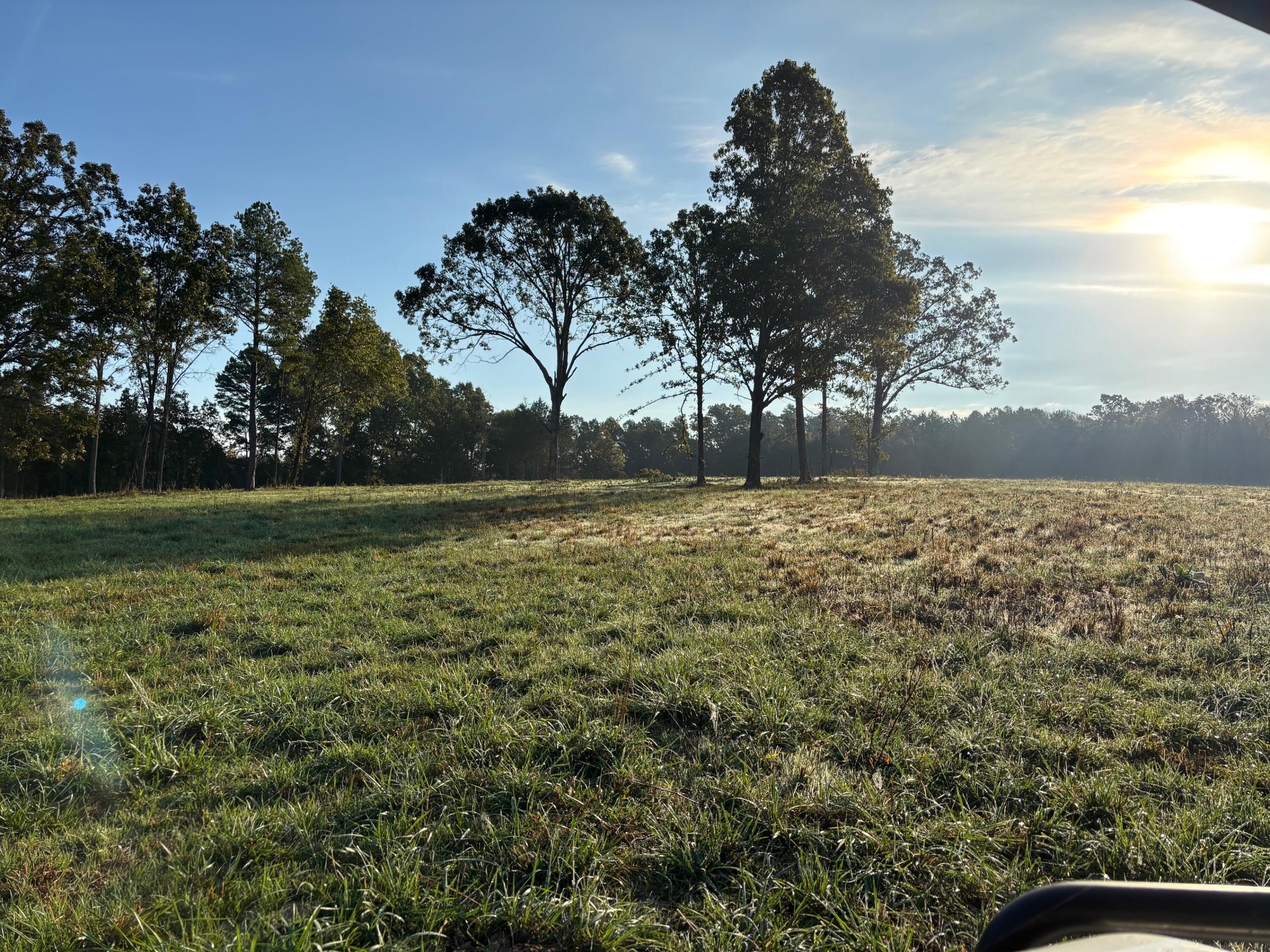 Photo 10 - Land for sale – Tbd  County Road 14-252   Drury, MO