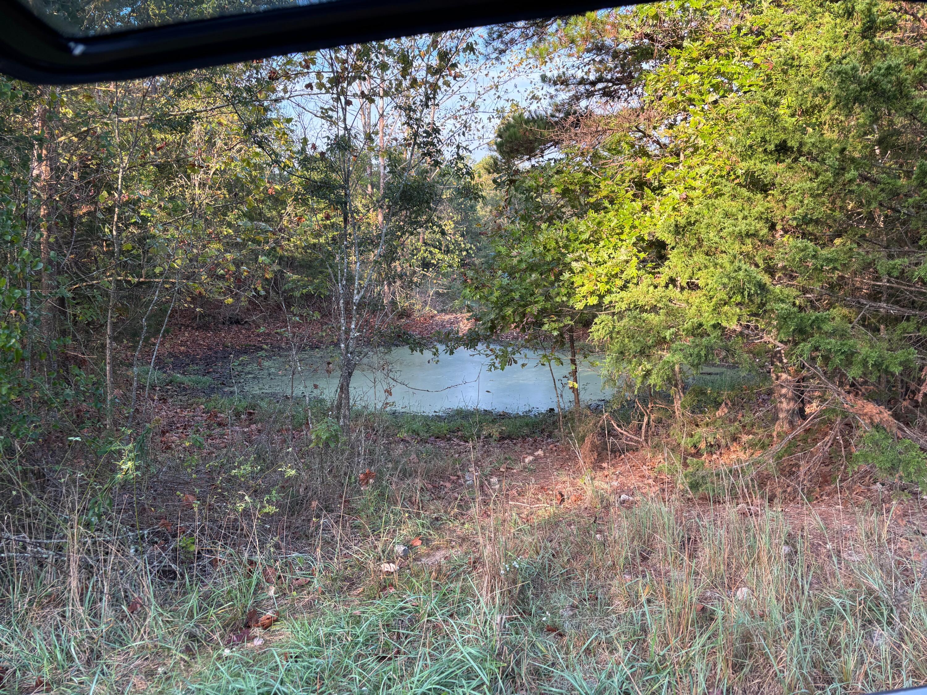 Photo 5 - Land for sale – Tbd  County Road 14-252   Drury, MO