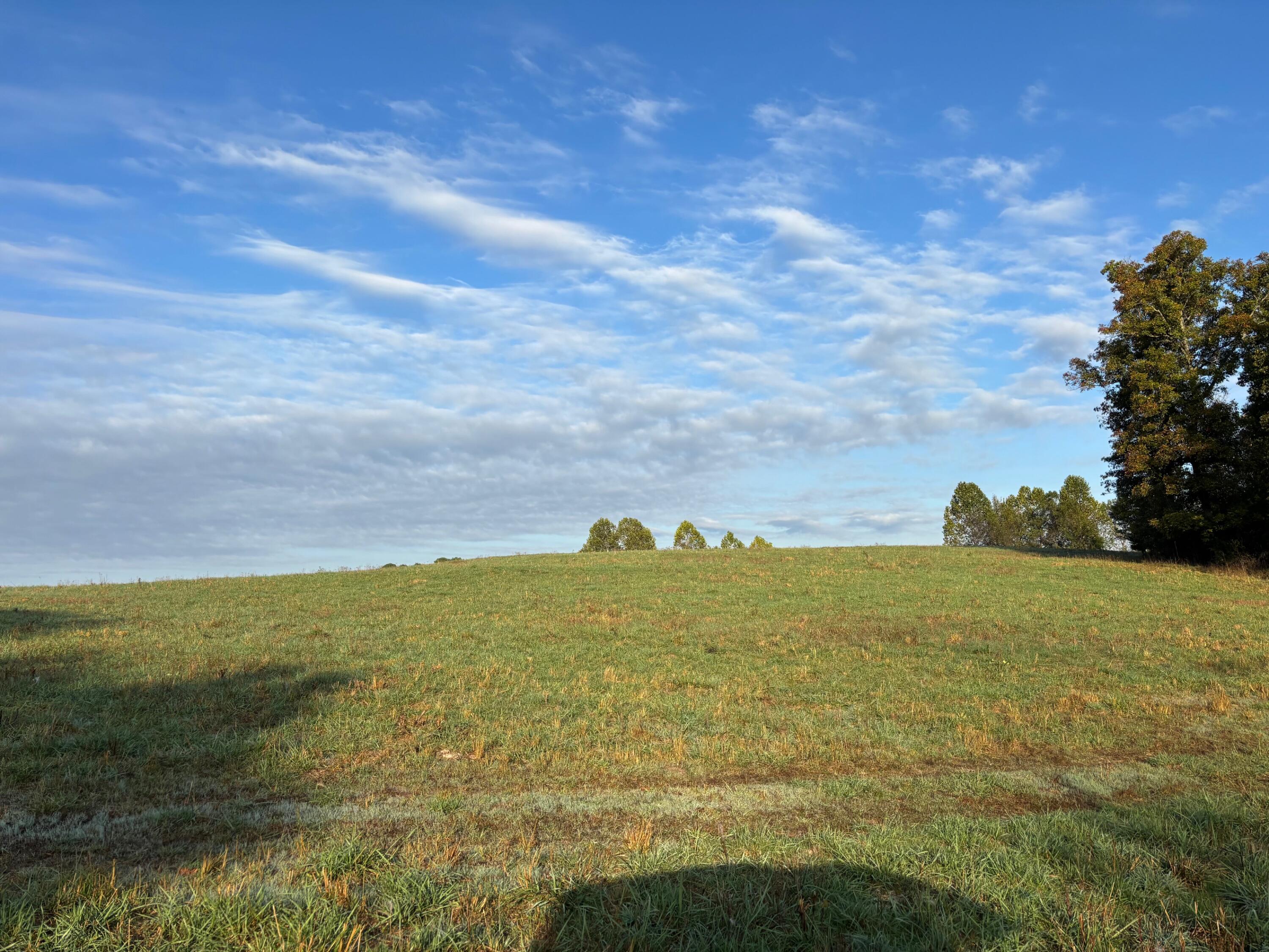 Photo 15 - Land for sale – Tbd  County Road 14-252   Drury, MO