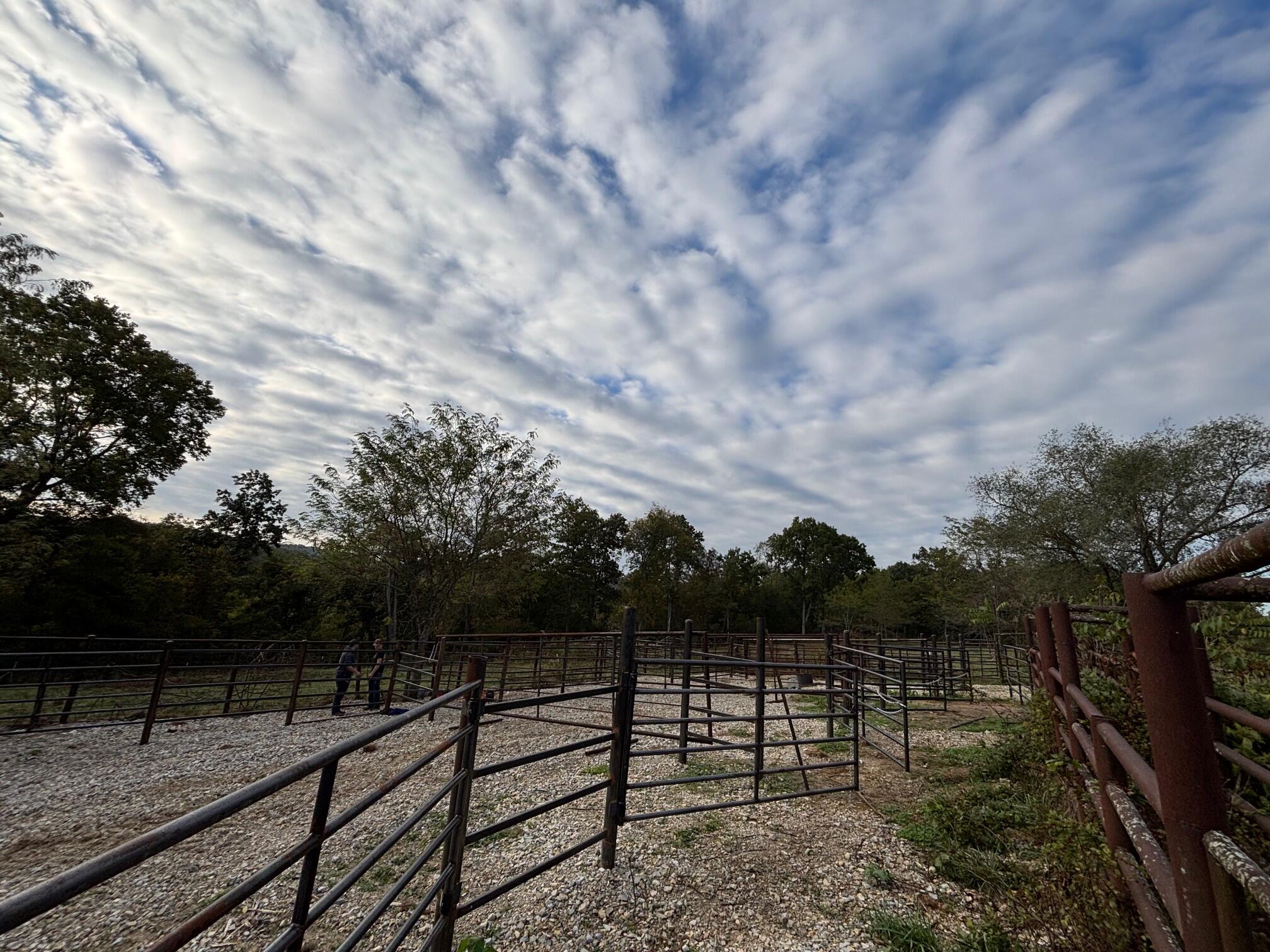 Photo 32 - Land for sale – Tbd  County Road 14-252   Drury, MO