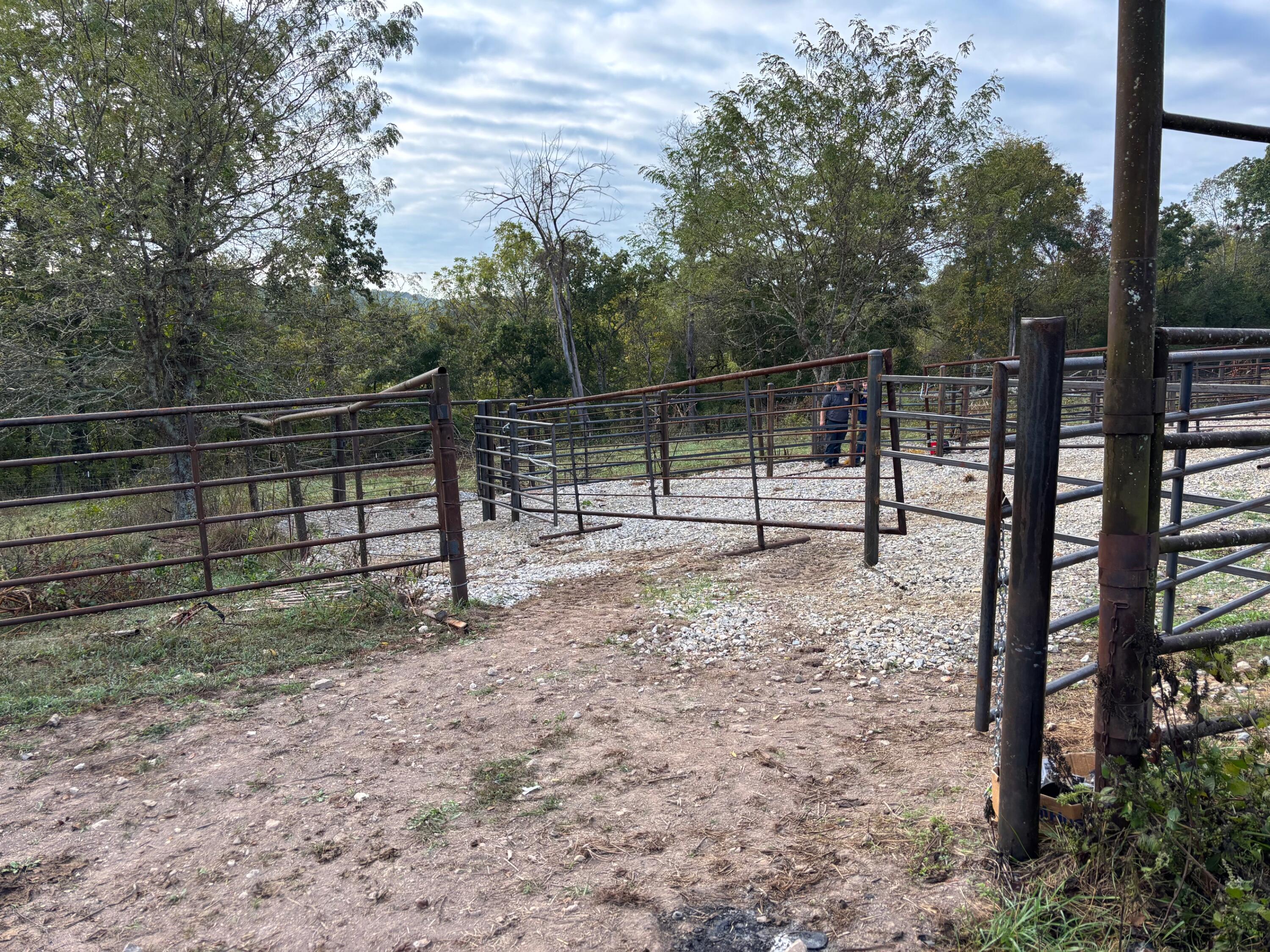 Photo 30 - Land for sale – Tbd  County Road 14-252   Drury, MO