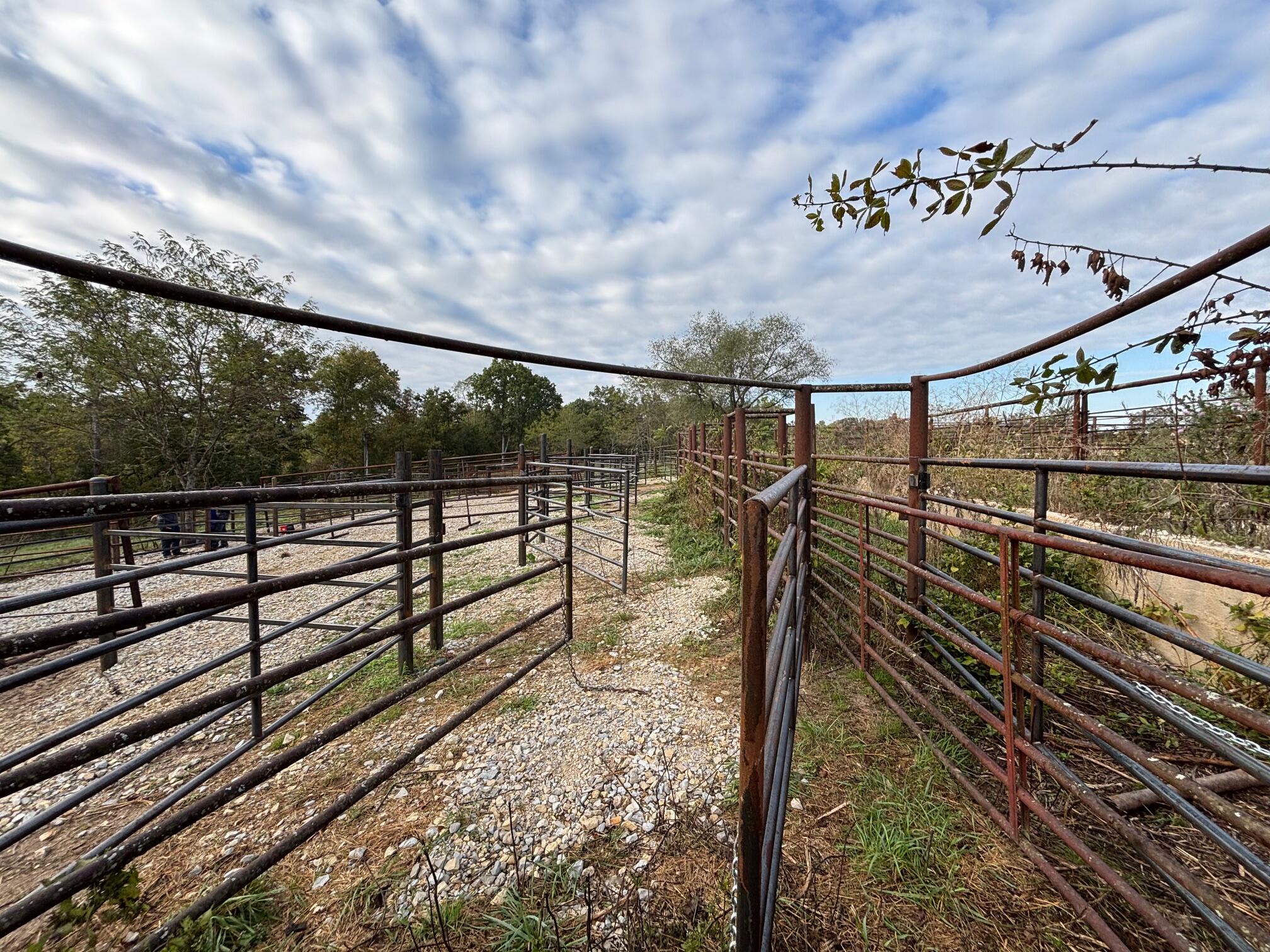 Photo 31 - Land for sale – Tbd  County Road 14-252   Drury, MO