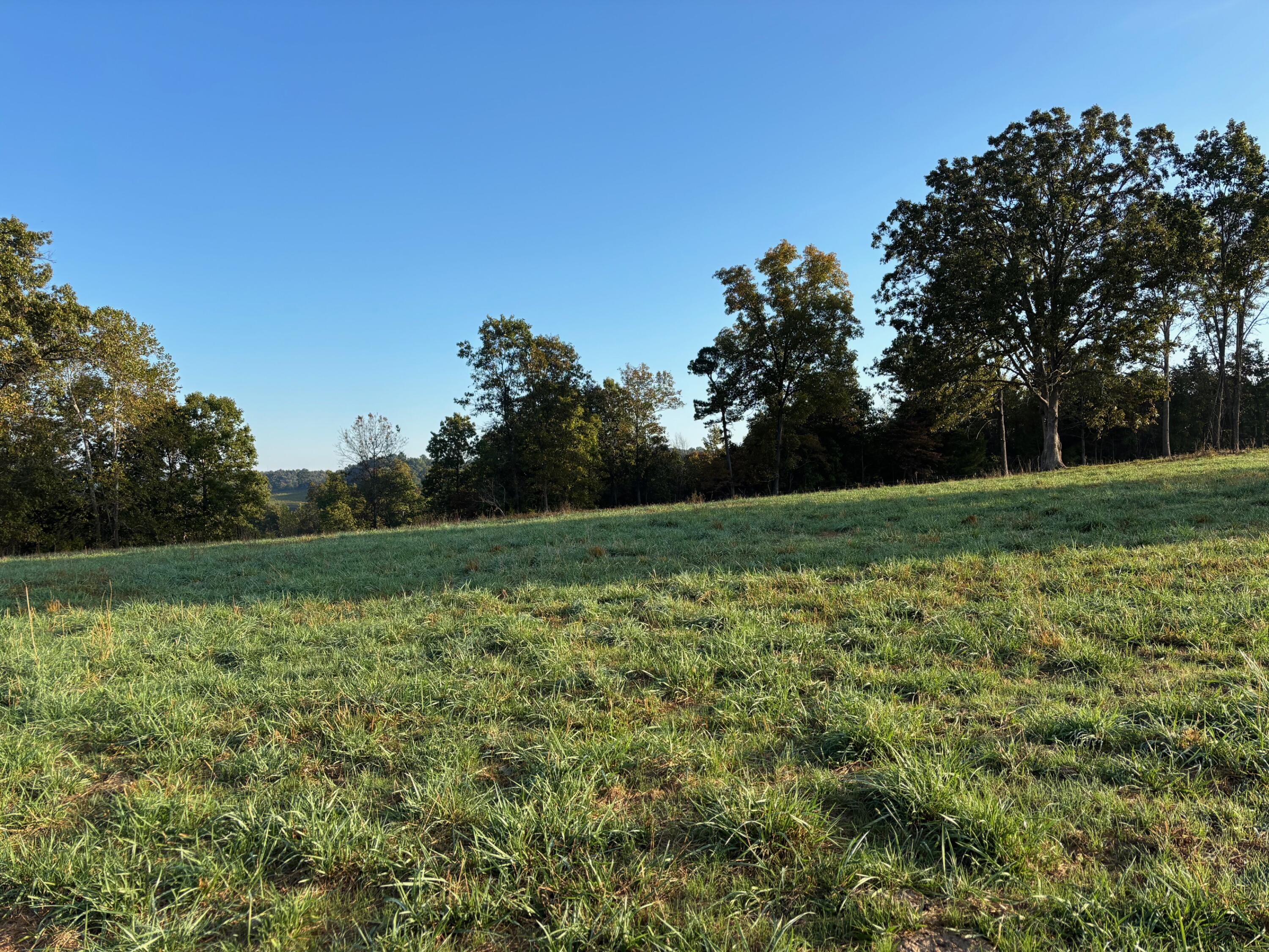 Photo 11 - Land for sale – Tbd  County Road 14-252   Drury, MO