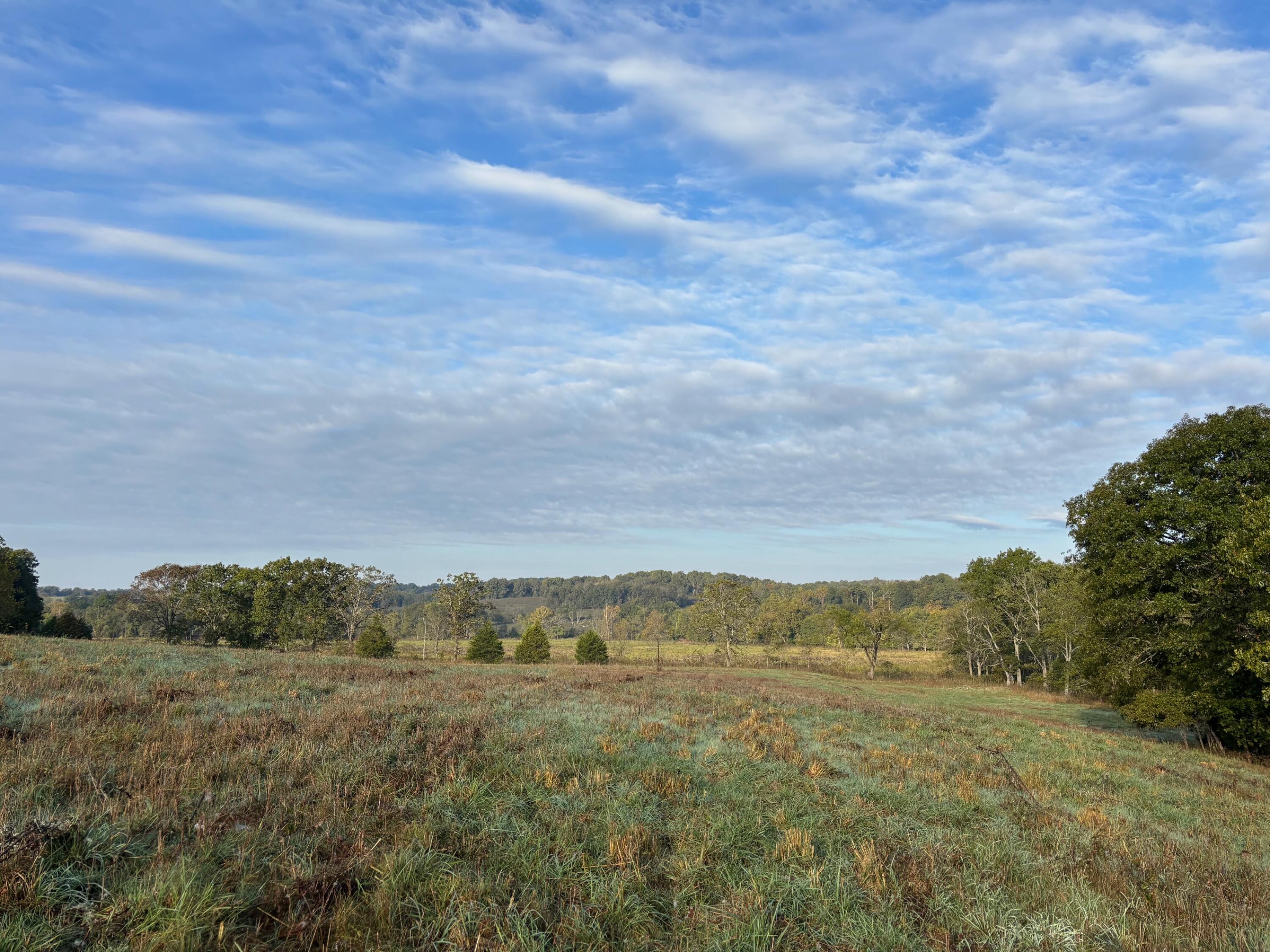Photo 19 - Land for sale – Tbd  County Road 14-252   Drury, MO