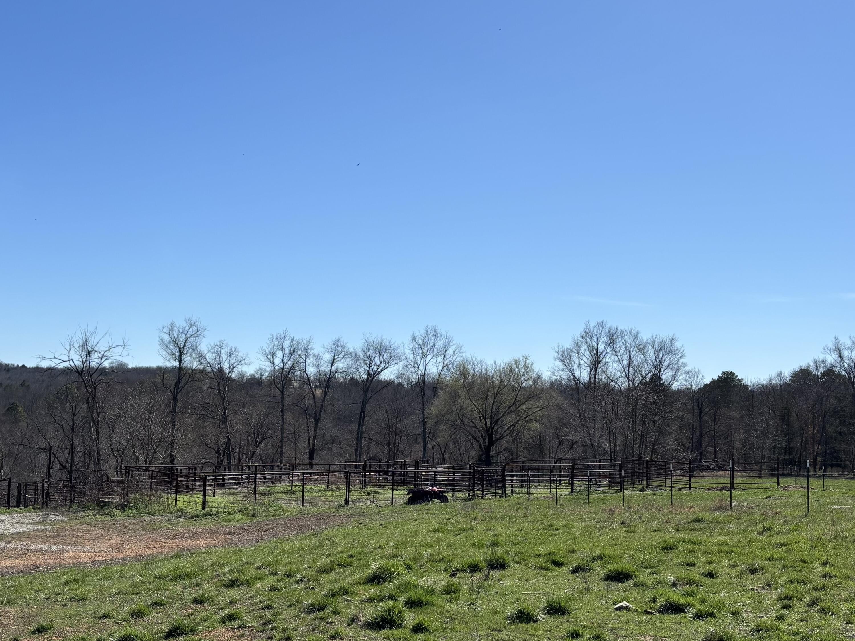 Photo 26 - Land for sale – Tbd  County Road 14-252   Drury, MO