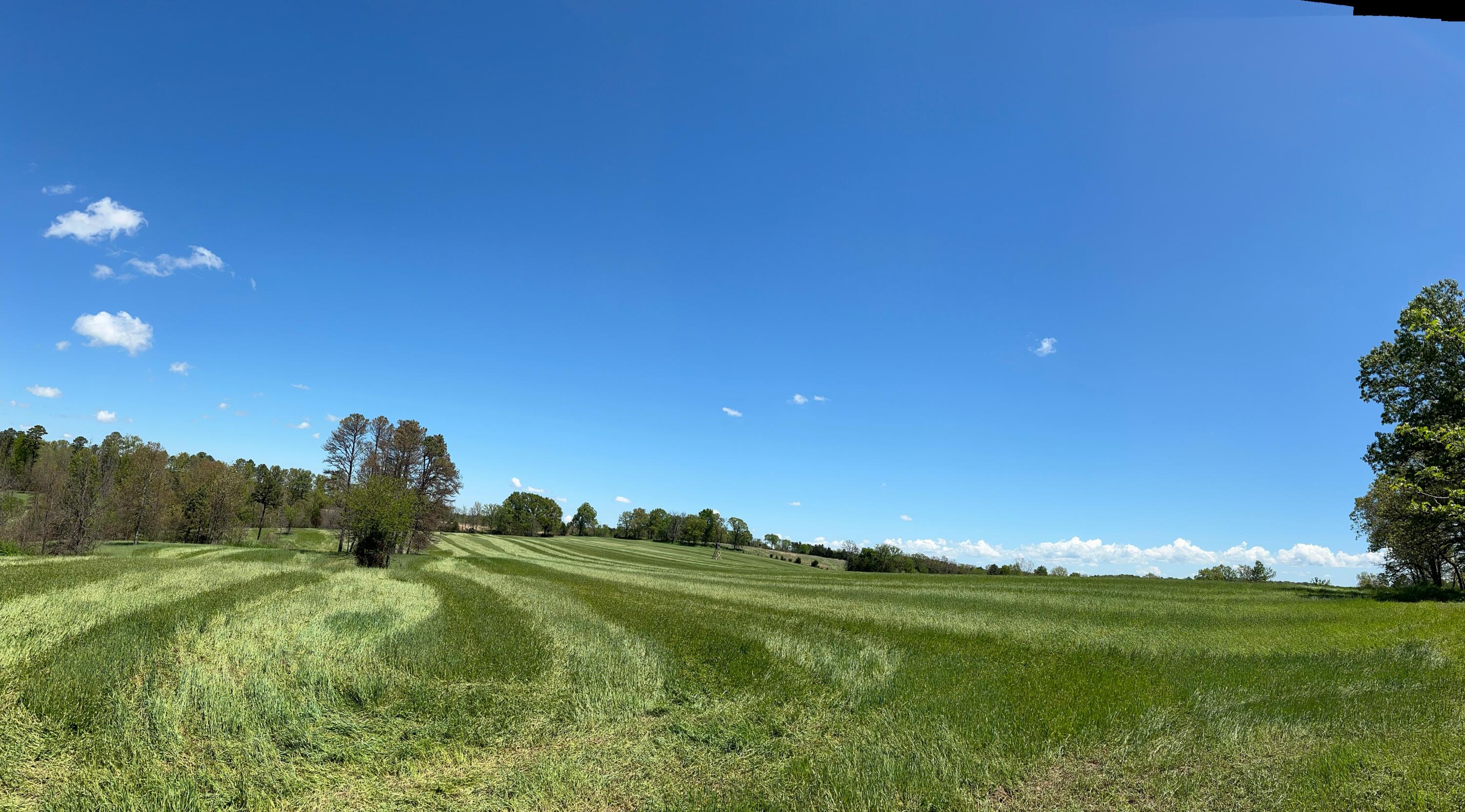 Land for sale – Tbd  County Road 14-252   Drury, MO