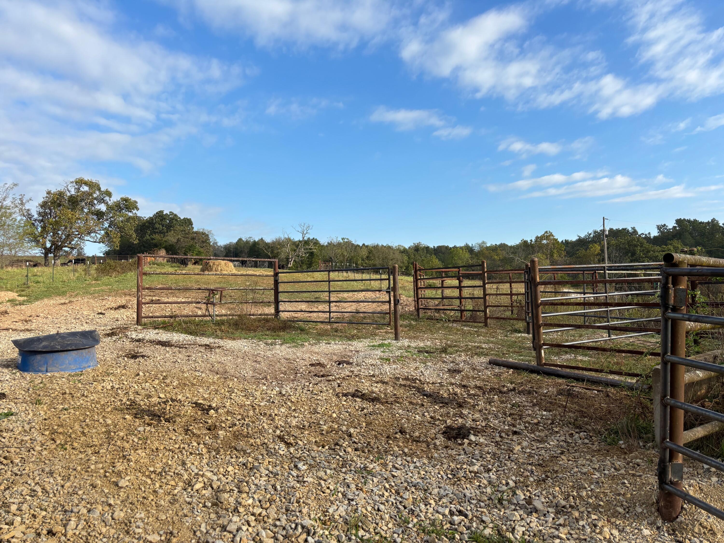 Photo 35 - Land for sale – Tbd  County Road 14-252   Drury, MO