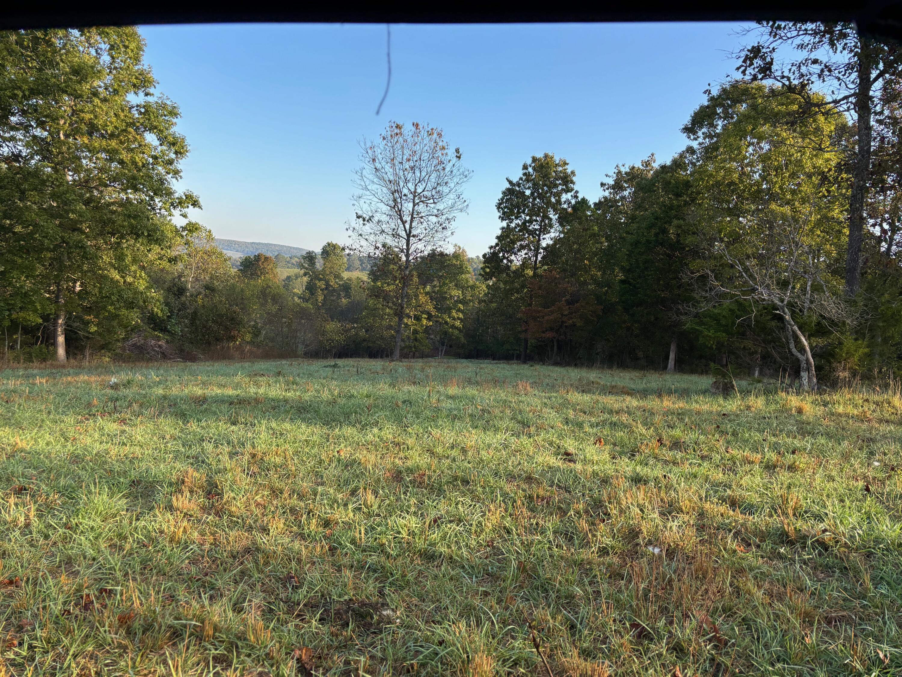 Photo 14 - Land for sale – Tbd  County Road 14-252   Drury, MO