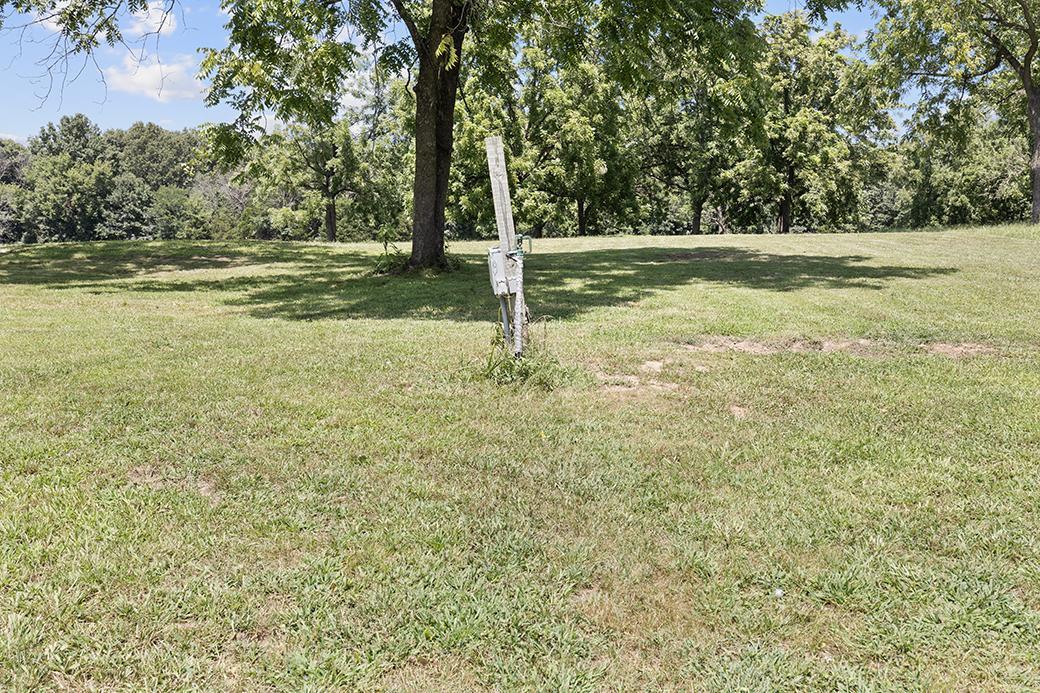 Photo 8 - Land for sale – 359 E Dade 74   Greenfield, MO