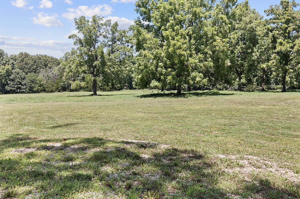 Photo 10 - Land for sale – 359 E Dade 74   Greenfield, MO