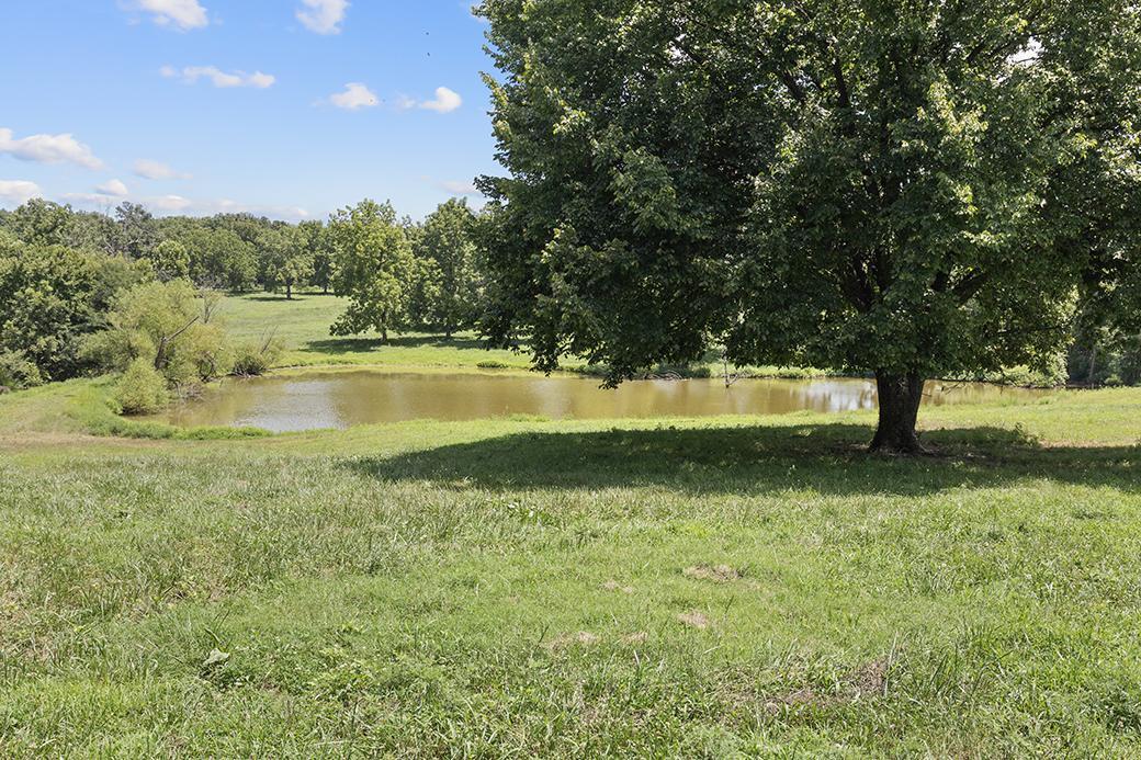 Photo 19 - Land for sale – 359 E Dade 74   Greenfield, MO