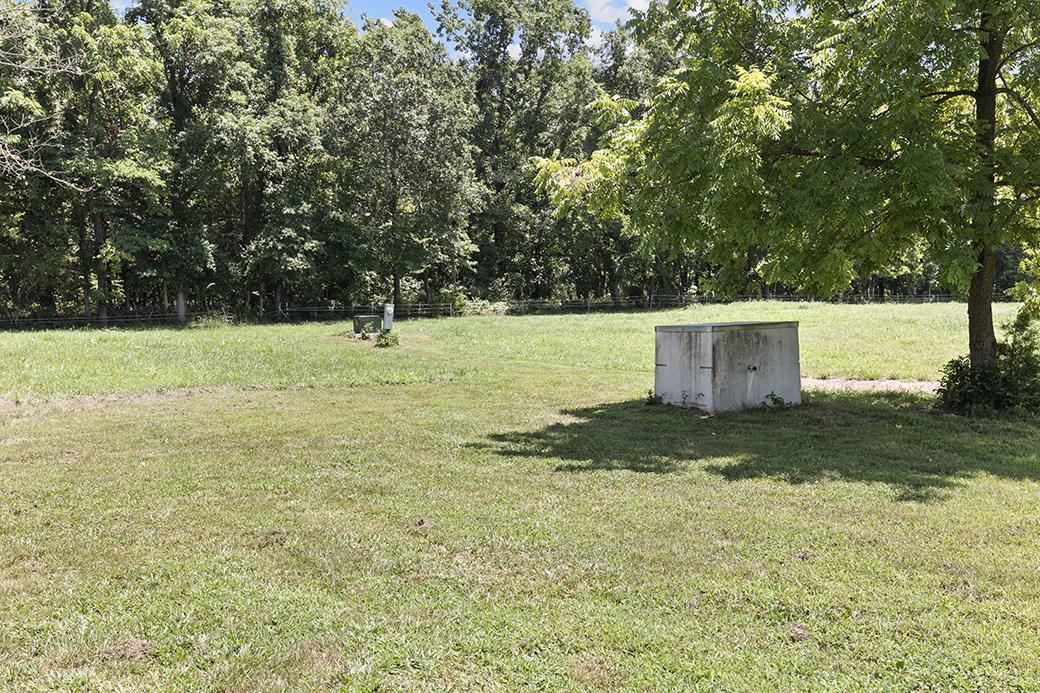 Photo 7 - Land for sale – 359 E Dade 74   Greenfield, MO