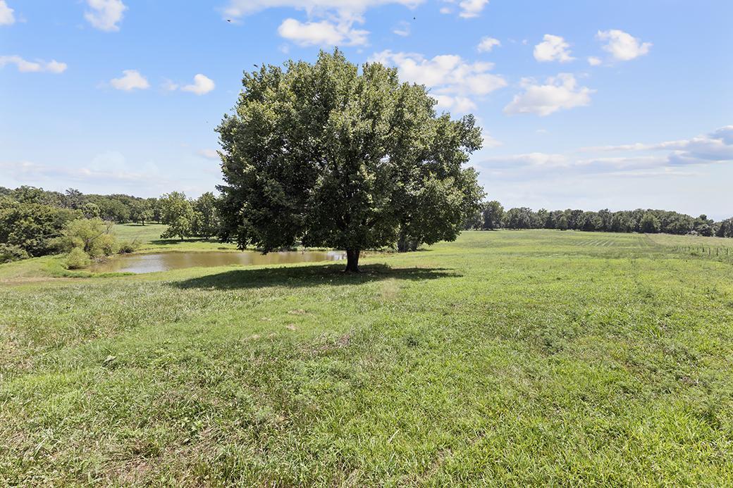Photo 18 - Land for sale – 359 E Dade 74   Greenfield, MO
