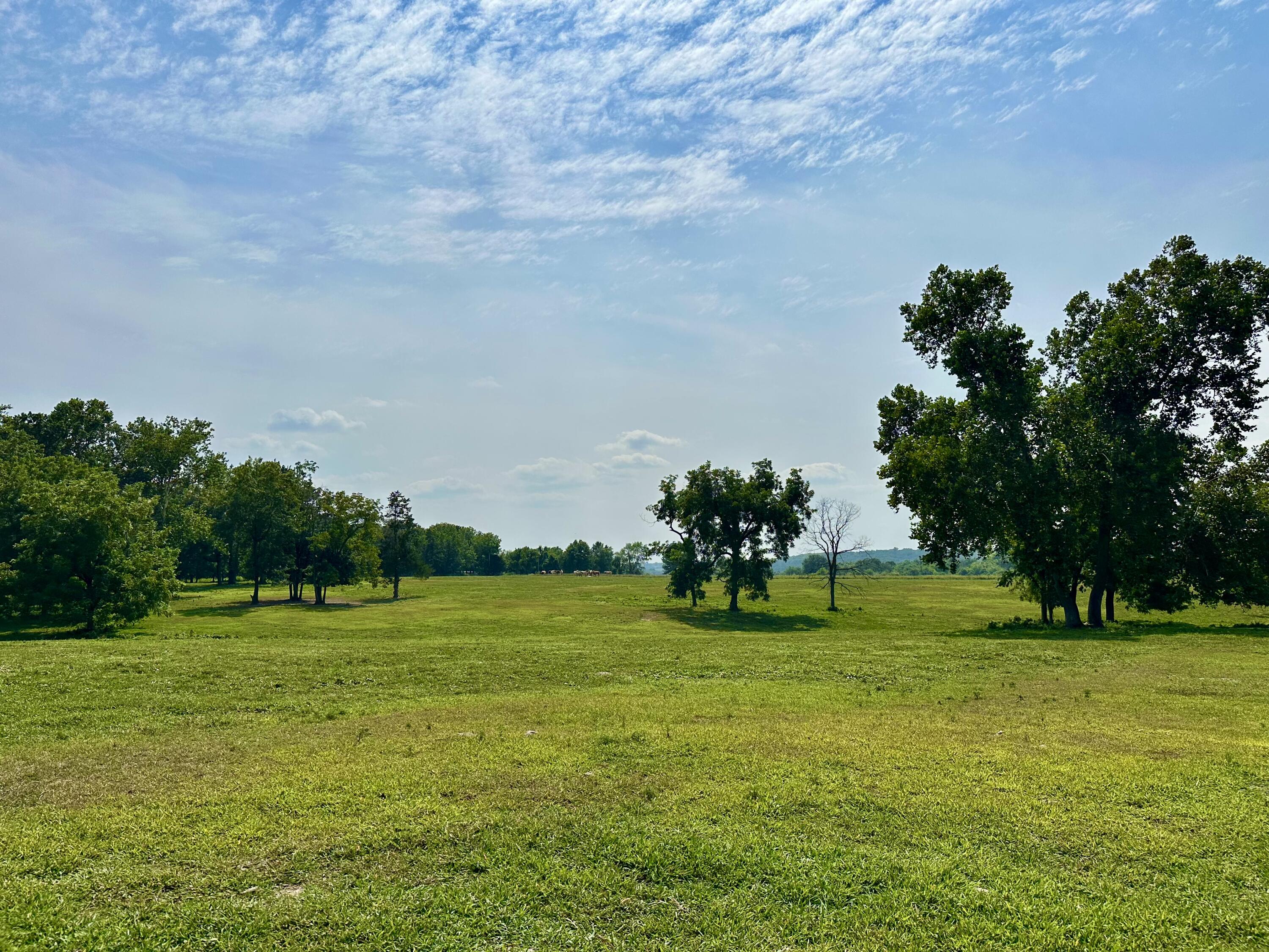 Photo 49 - Land for sale – 359 E Dade 74   Greenfield, MO