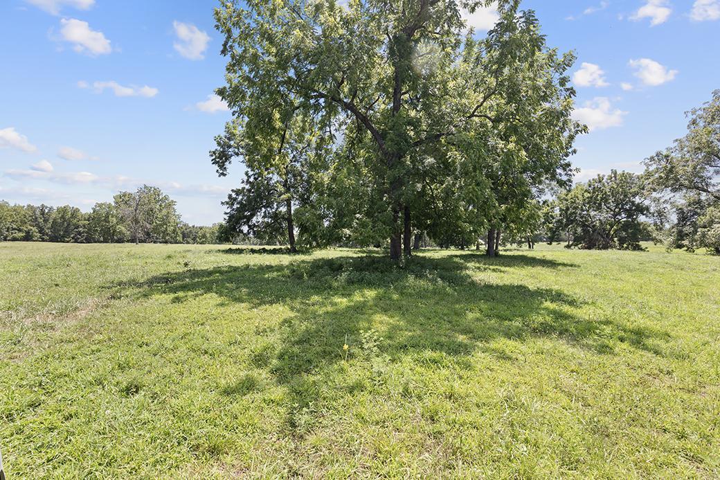 Photo 17 - Land for sale – 359 E Dade 74   Greenfield, MO