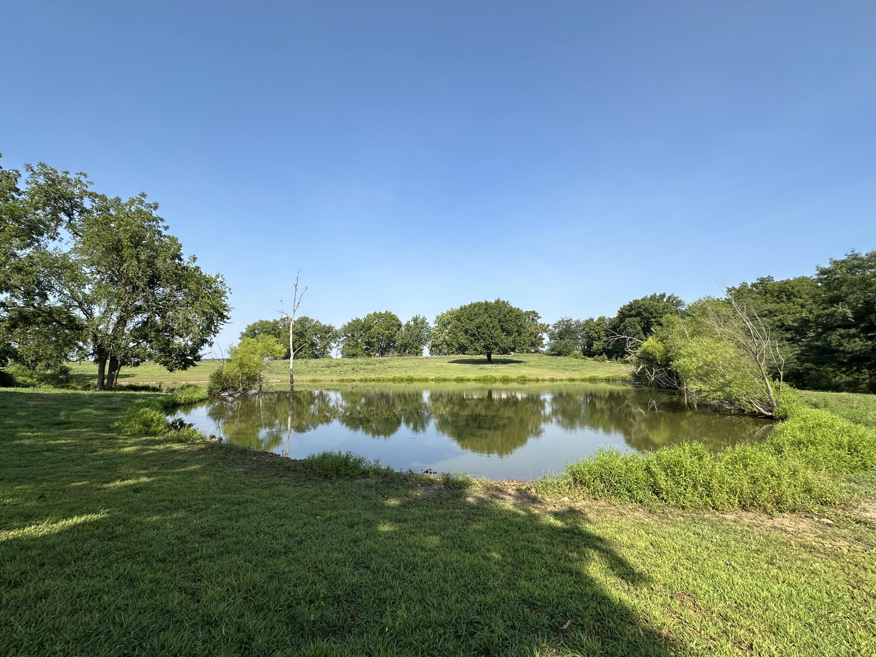 Photo 2 - Land for sale – 359 E Dade 74   Greenfield, MO