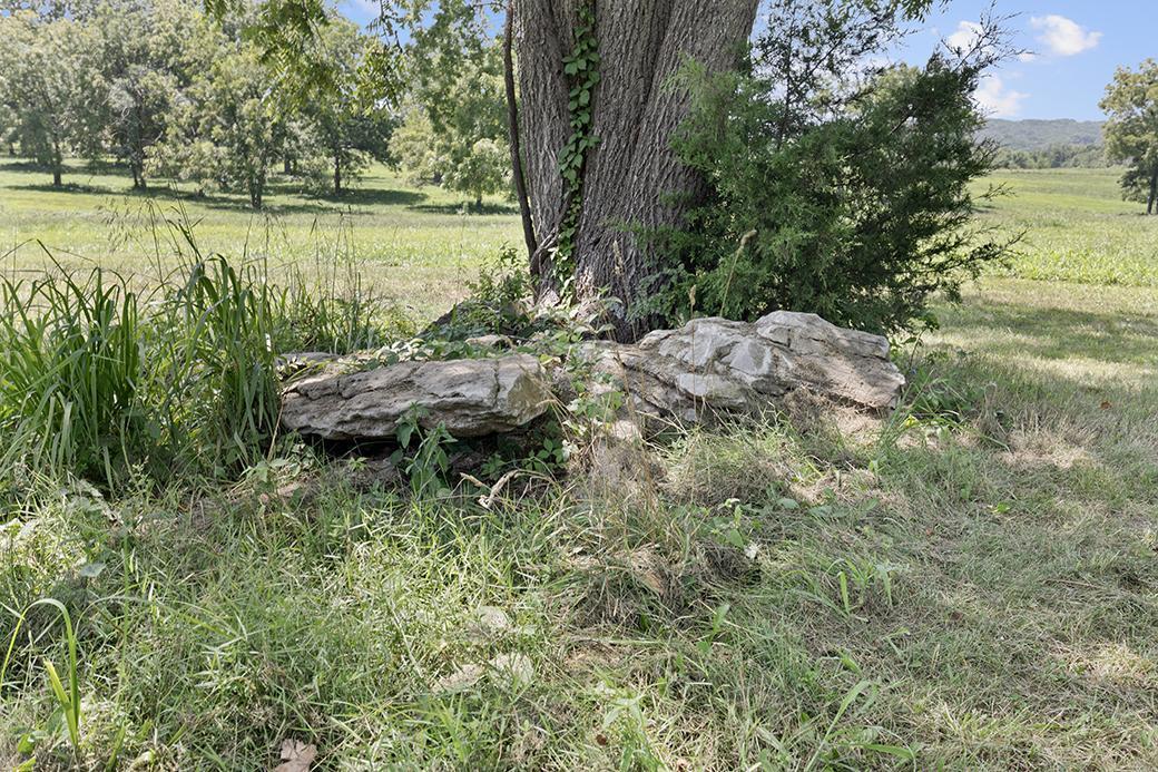 Photo 15 - Land for sale – 359 E Dade 74   Greenfield, MO