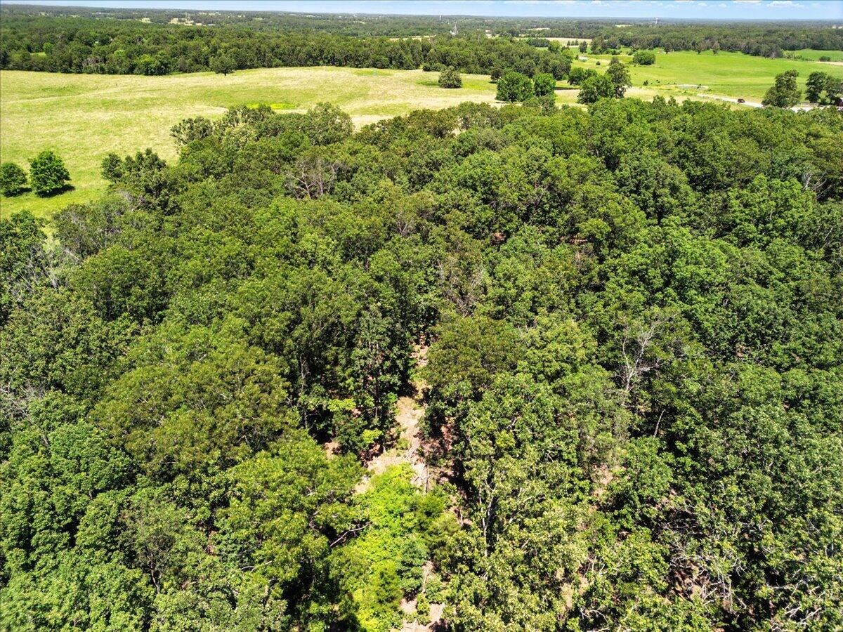 Photo 13 - Land for sale – 000  Highway 17   Summersville, MO