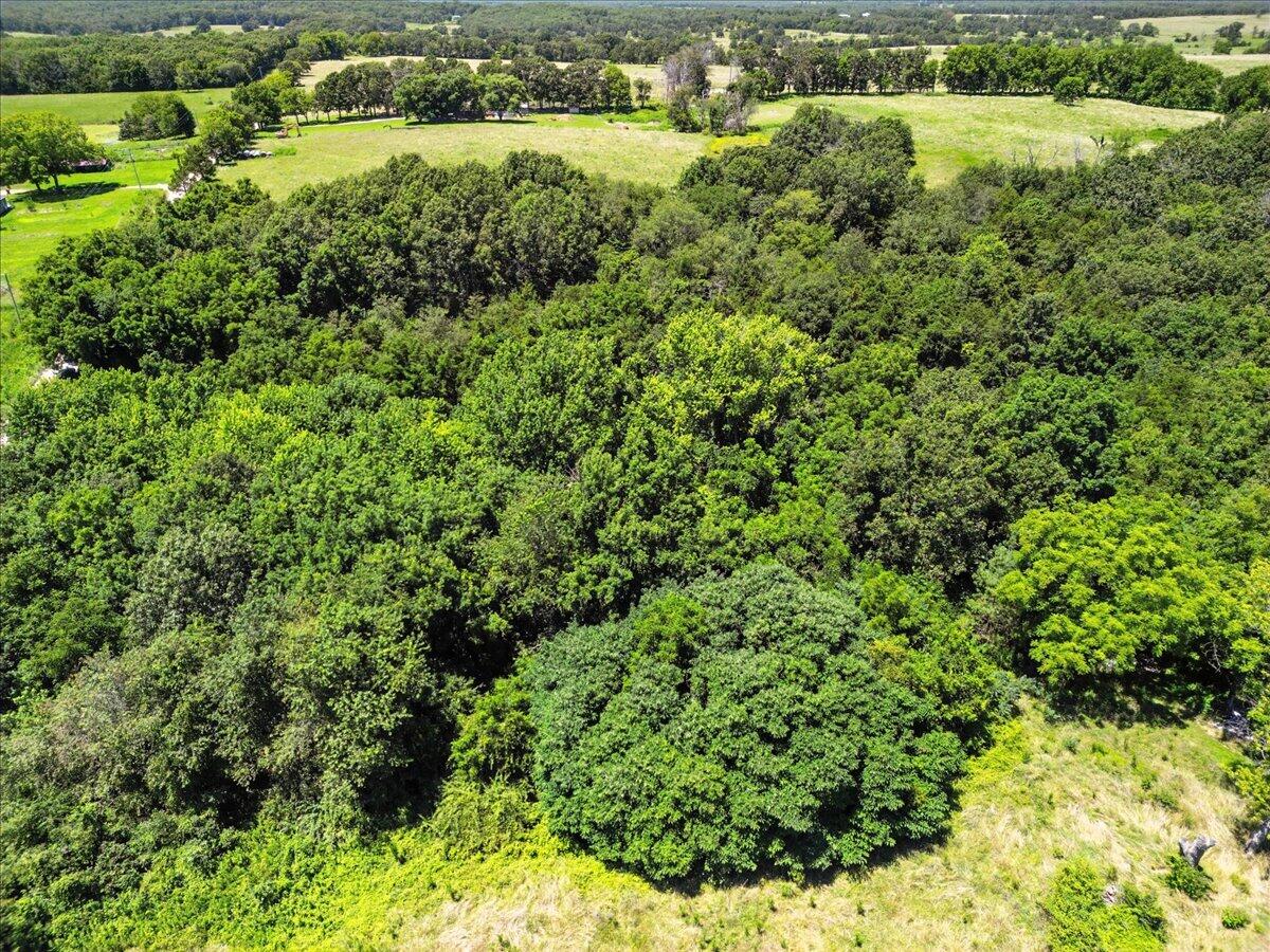 Photo 4 - Land for sale – 000  Highway 17   Summersville, MO