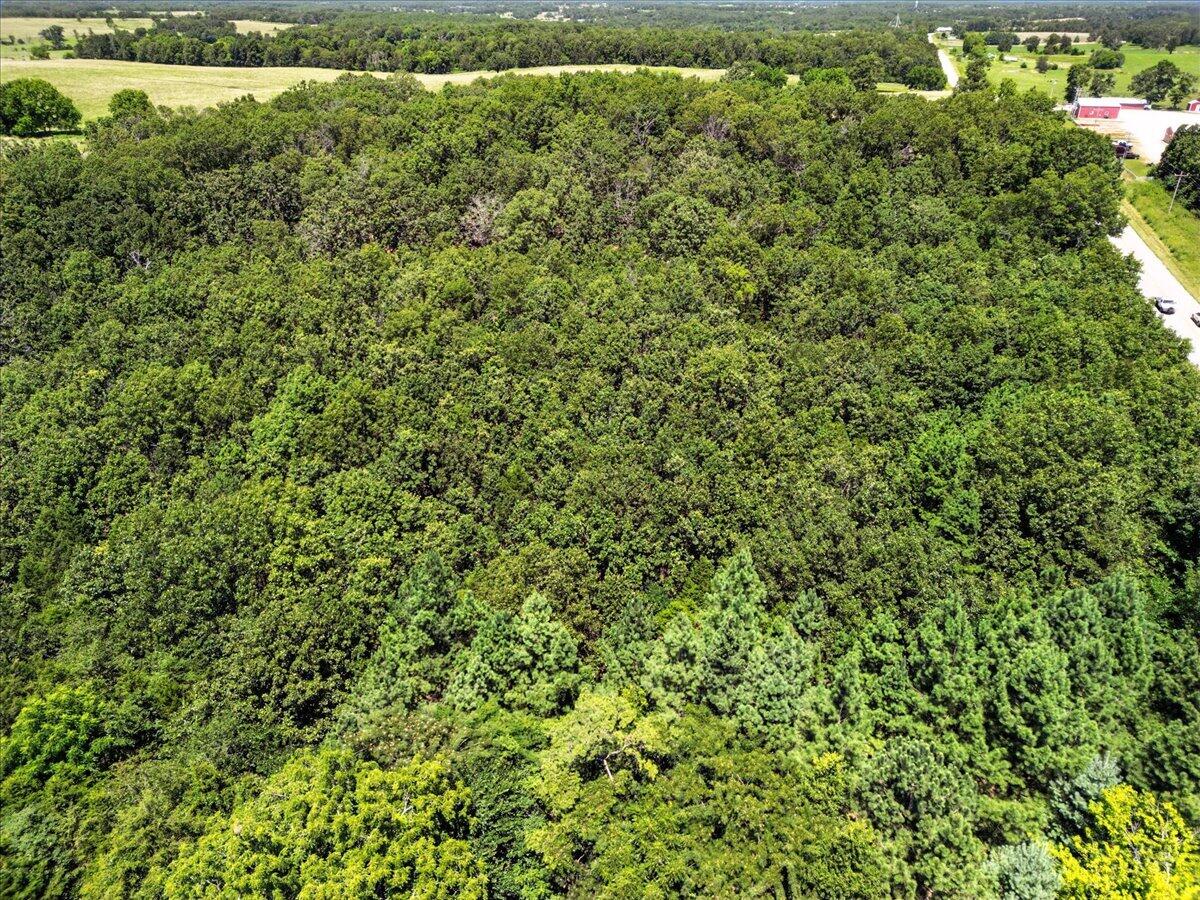 Photo 6 - Land for sale – 000  Highway 17   Summersville, MO