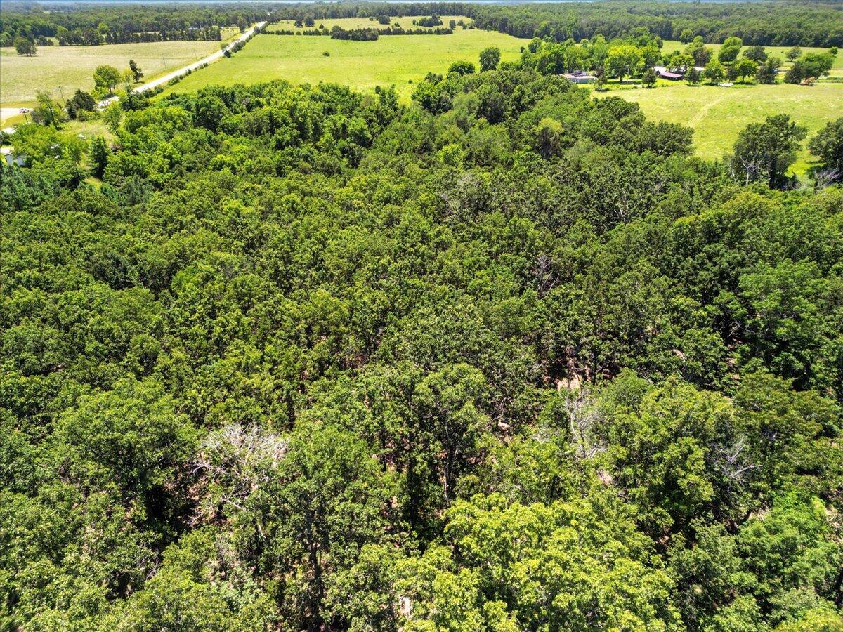 Photo 10 - Land for sale – 000  Highway 17   Summersville, MO