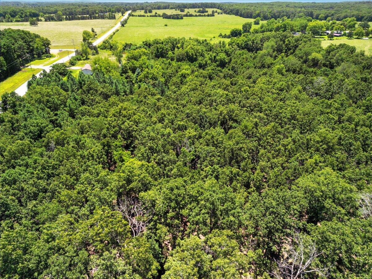 Photo 9 - Land for sale – 000  Highway 17   Summersville, MO