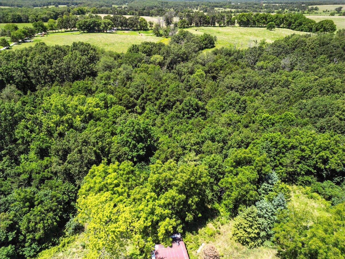 Photo 5 - Land for sale – 000  Highway 17   Summersville, MO