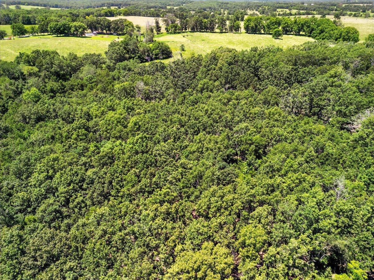 Photo 8 - Land for sale – 000  Highway 17   Summersville, MO