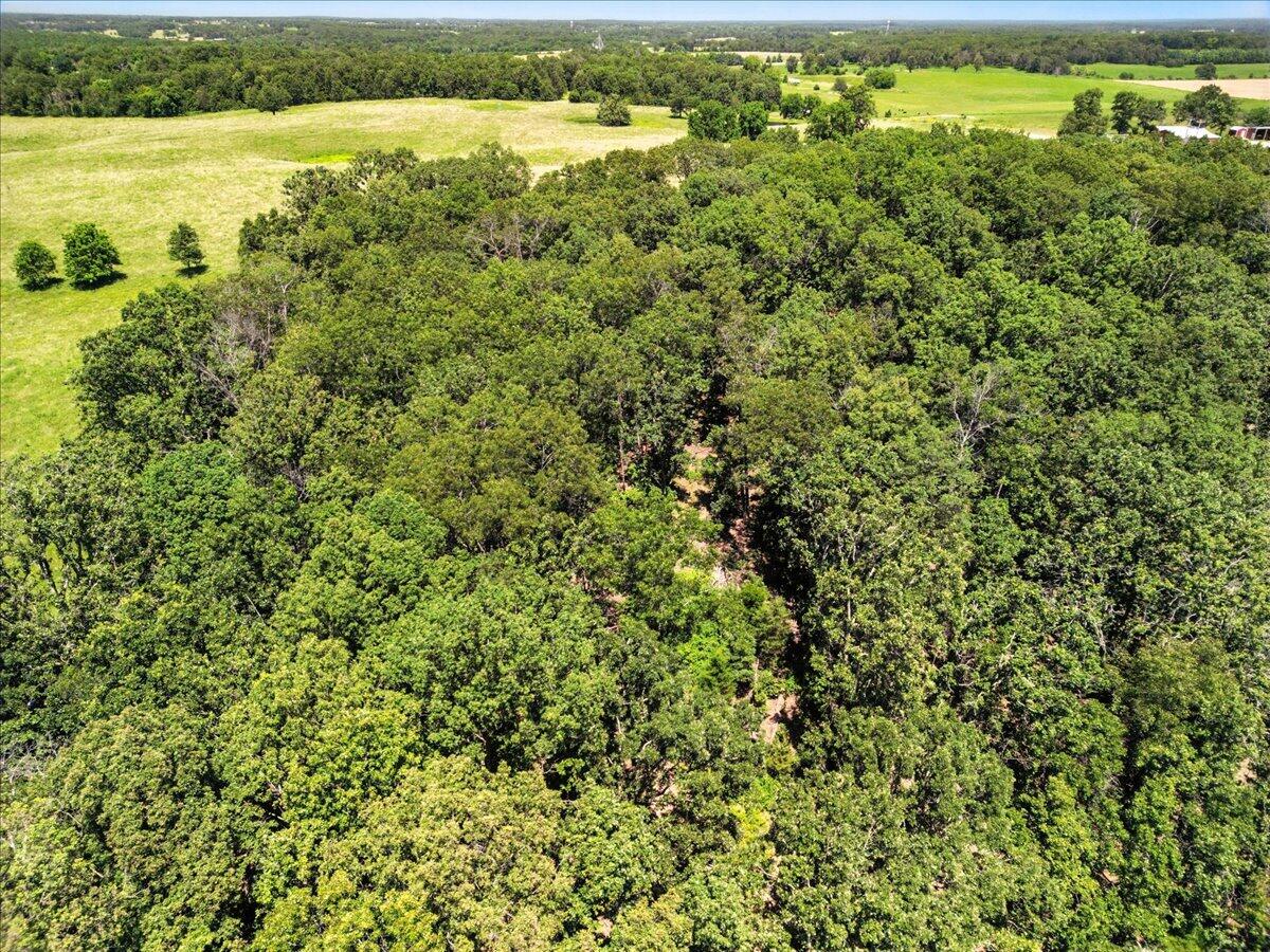 Photo 14 - Land for sale – 000  Highway 17   Summersville, MO