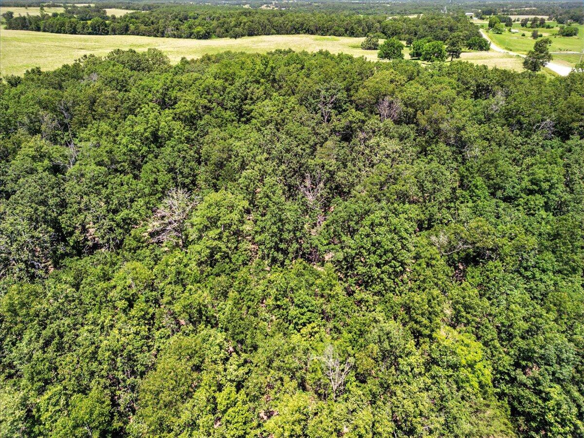 Photo 7 - Land for sale – 000  Highway 17   Summersville, MO