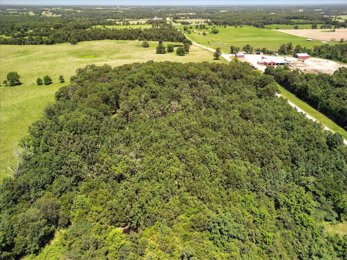 Photo 16 - Land for sale – 000  Highway 17   Summersville, MO