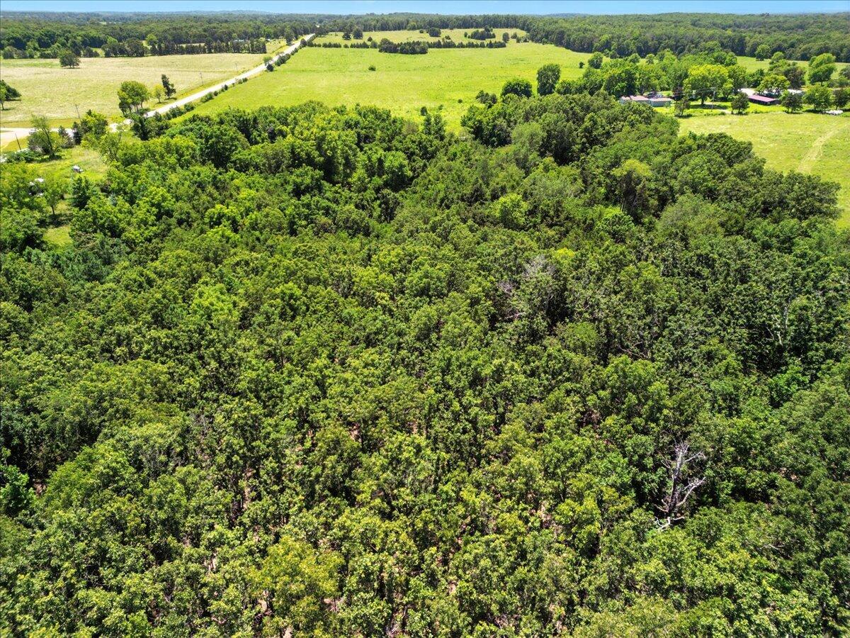 Photo 11 - Land for sale – 000  Highway 17   Summersville, MO