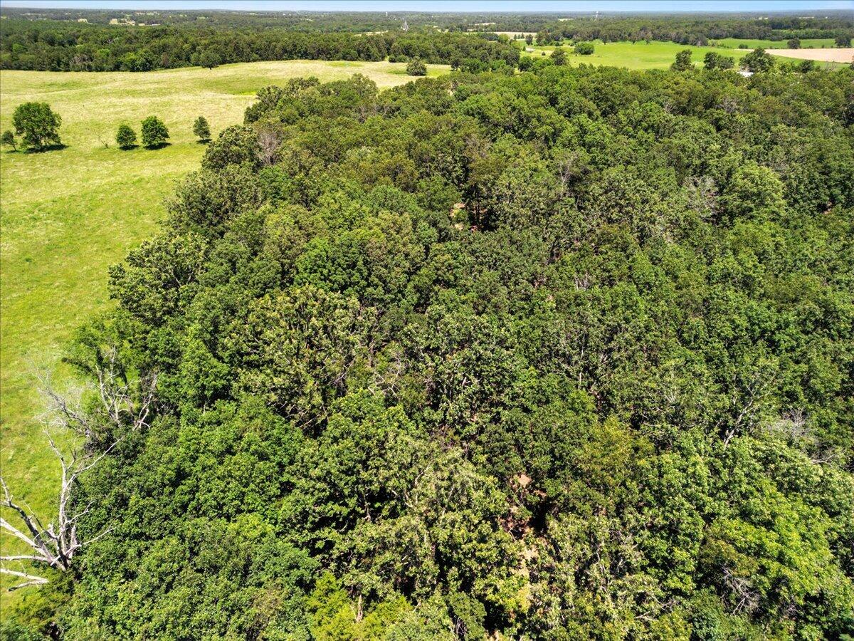 Photo 15 - Land for sale – 000  Highway 17   Summersville, MO